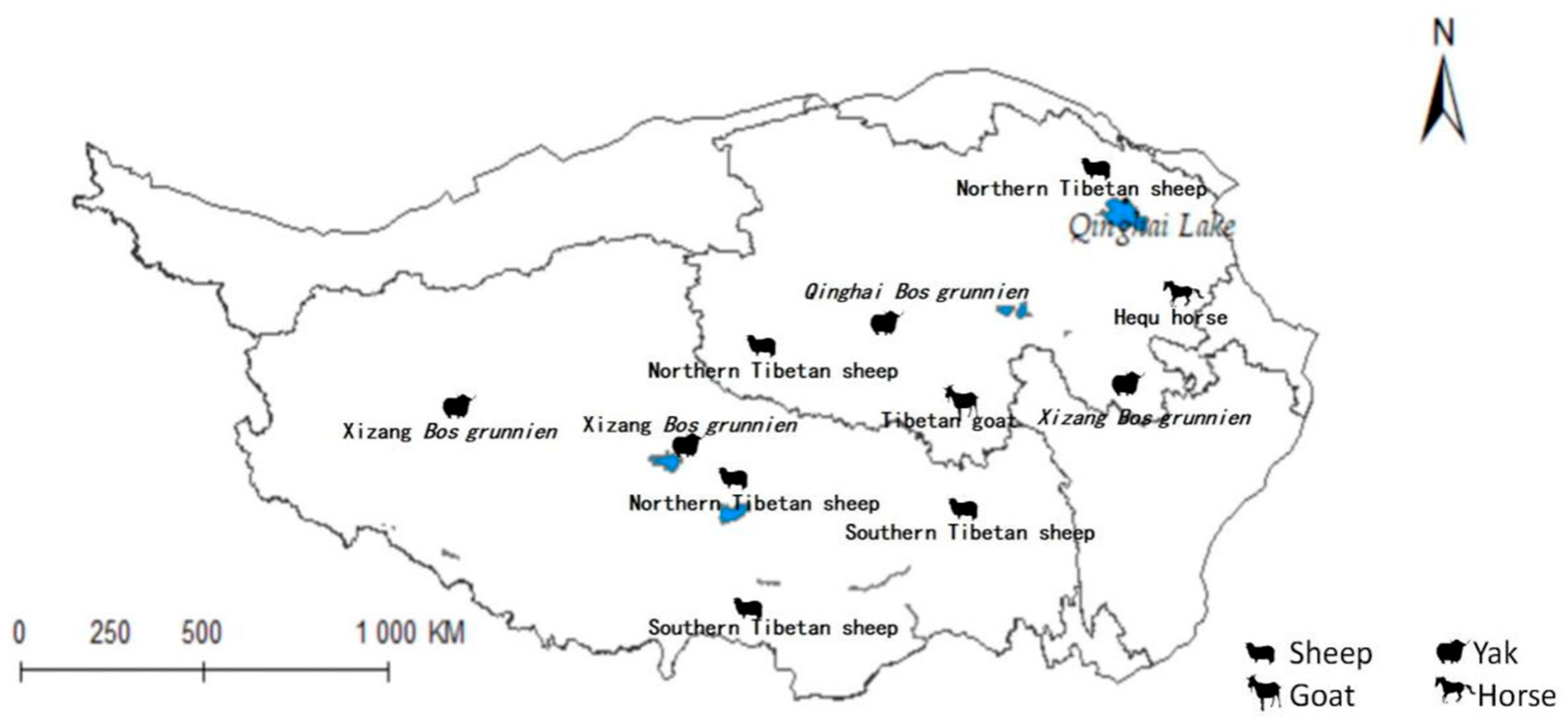 Pathogens 14 00647 g001 Pathogens 14 00647 g001