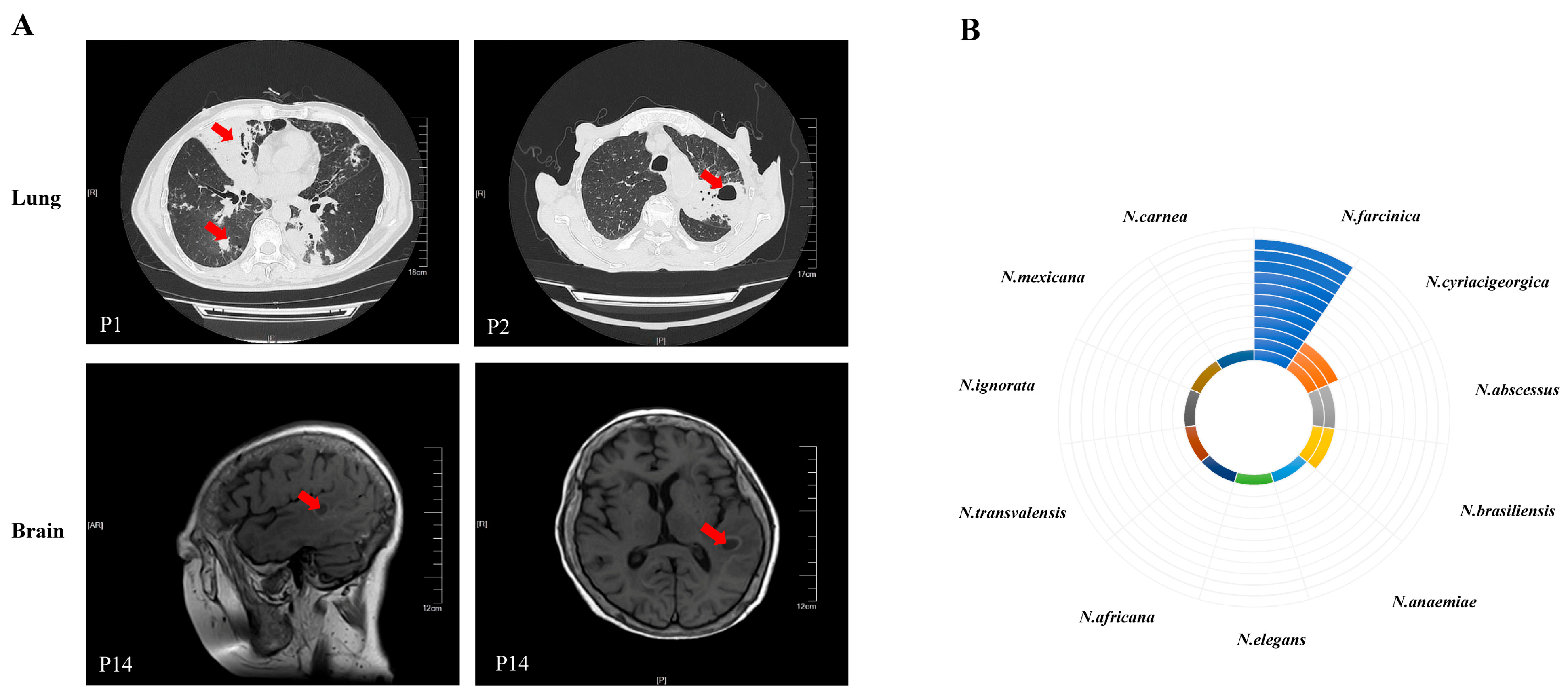 Pathogens 14 00656 g001