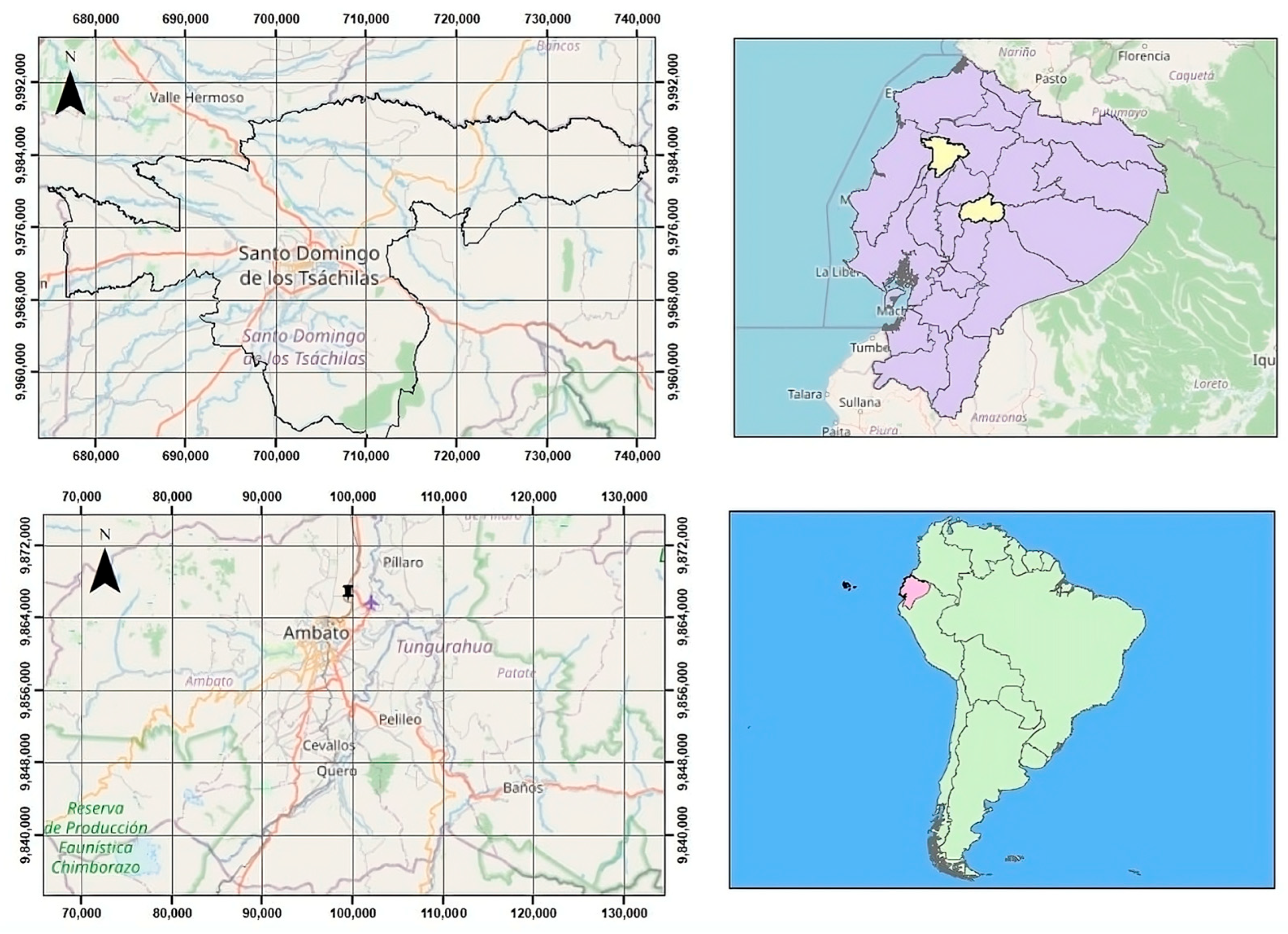 Pathogens 14 00659 g001