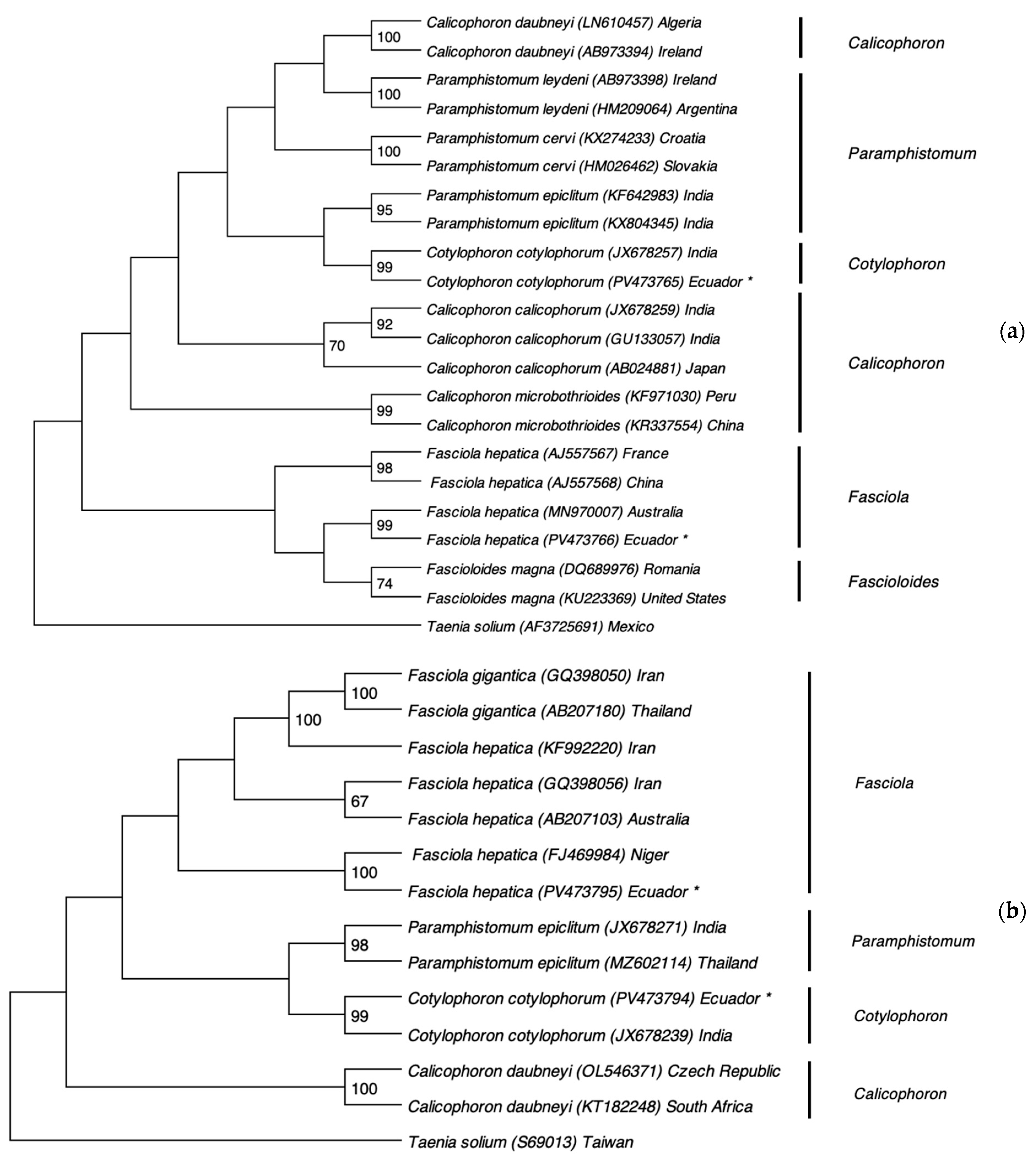 Pathogens 14 00659 g003