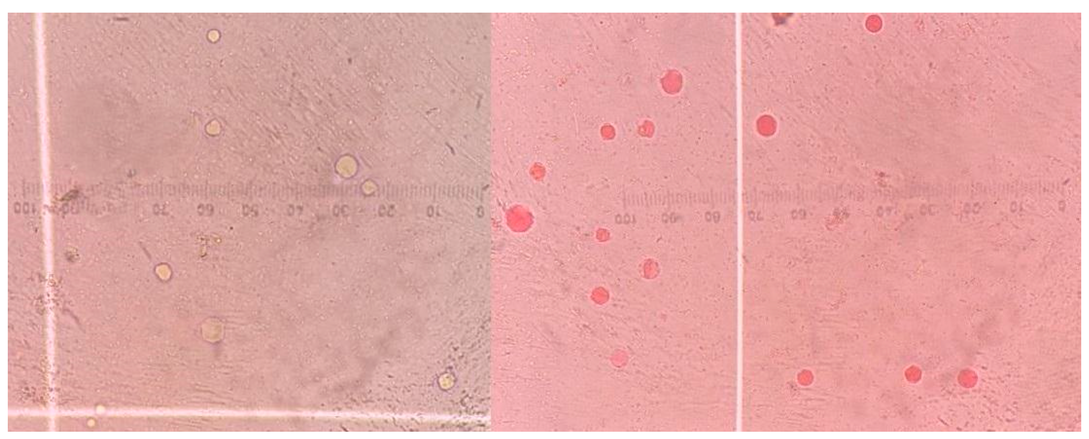 Pathogens 14 00664 g001
