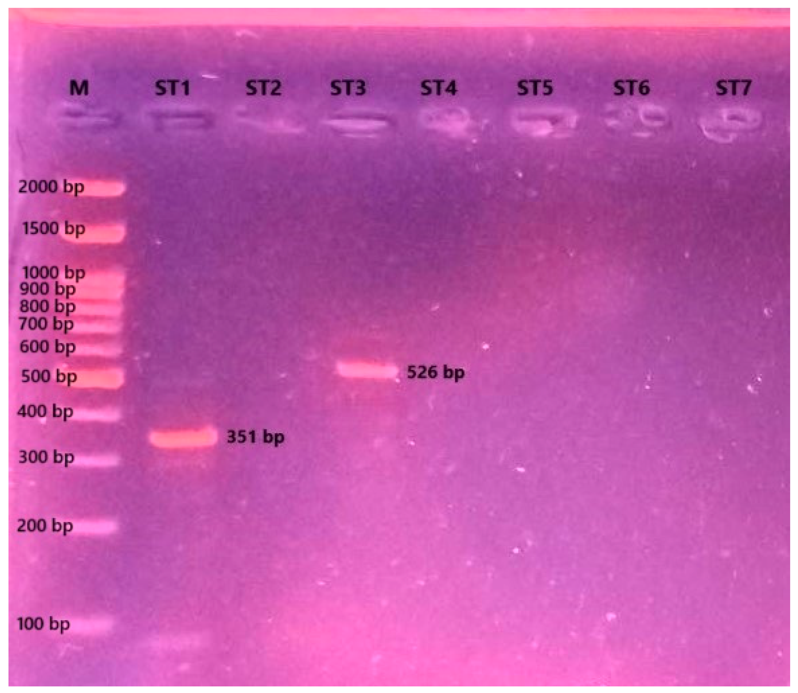 Pathogens 14 00664 g003