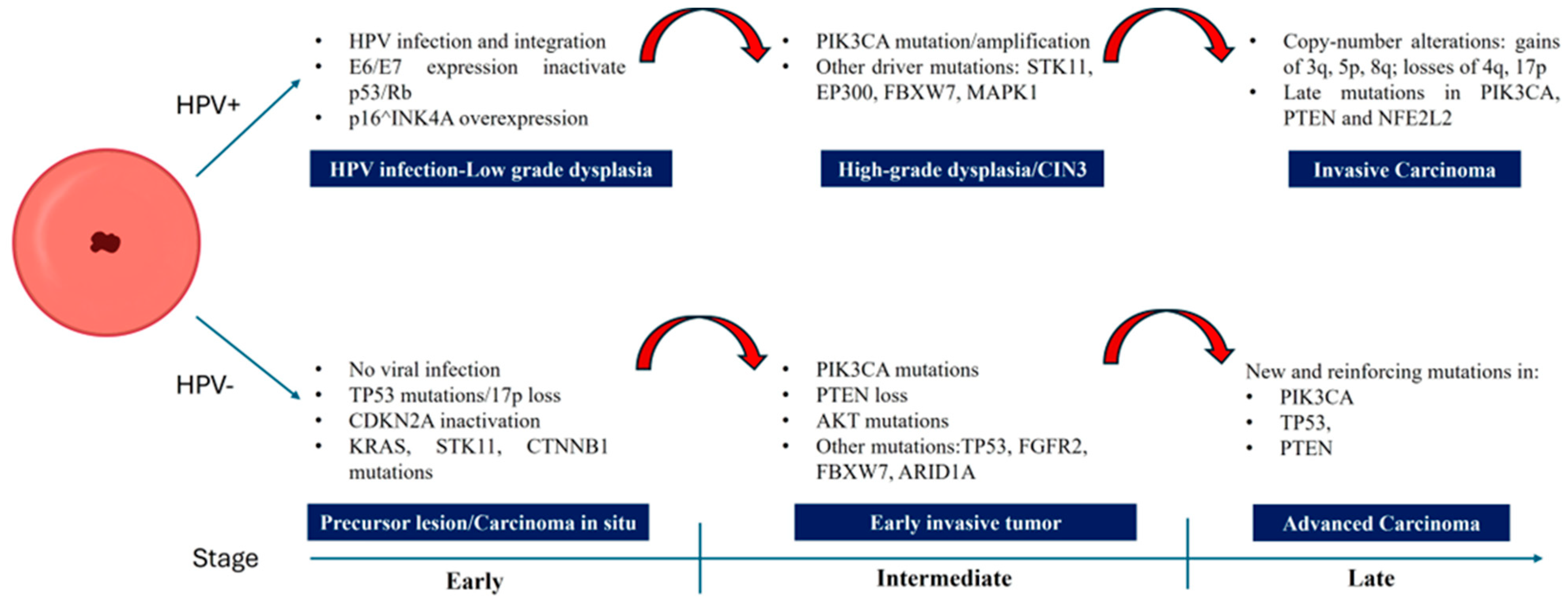 Pathogens 14 00668 g002