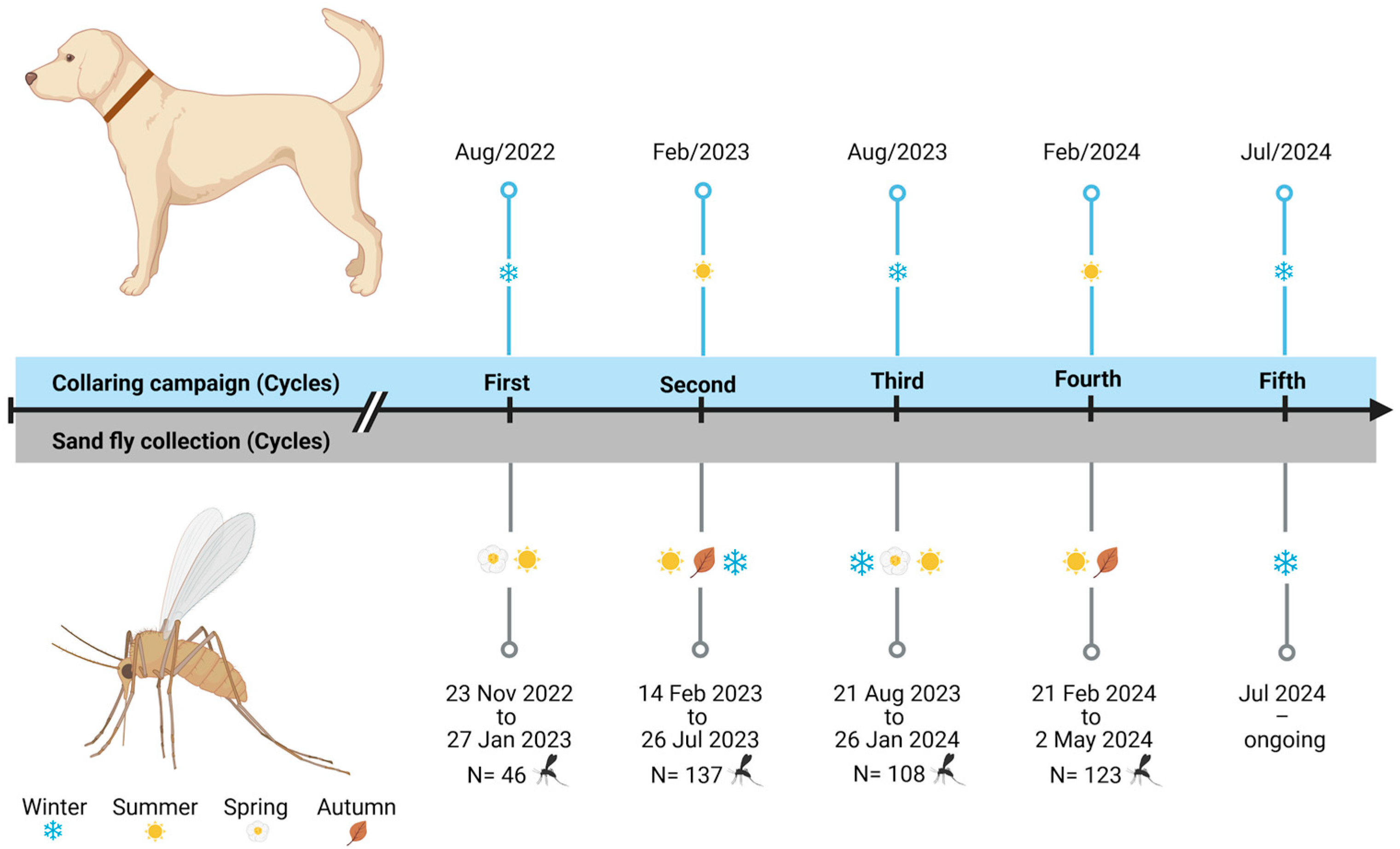 Pathogens 14 00671 g003