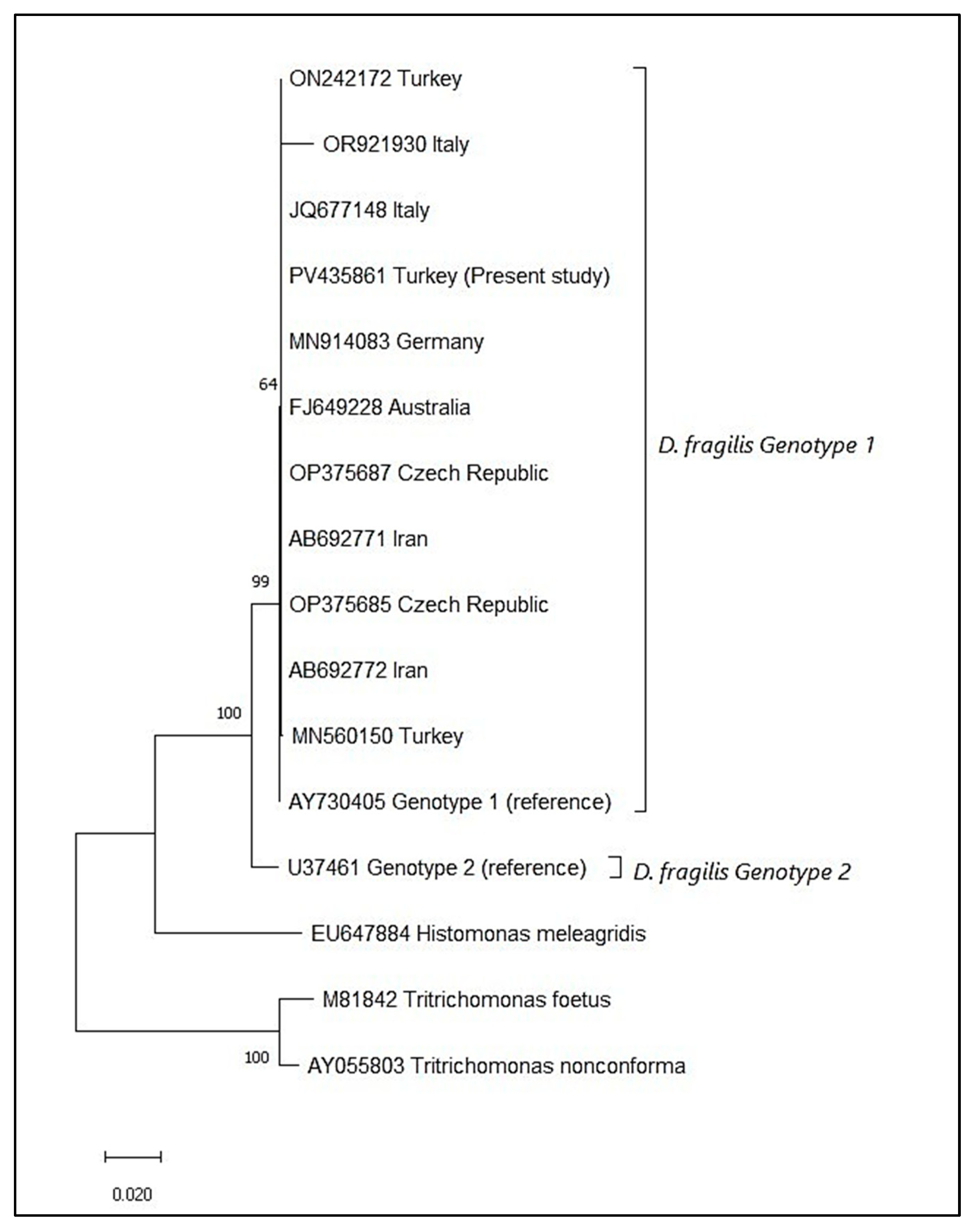Pathogens 14 00674 g001