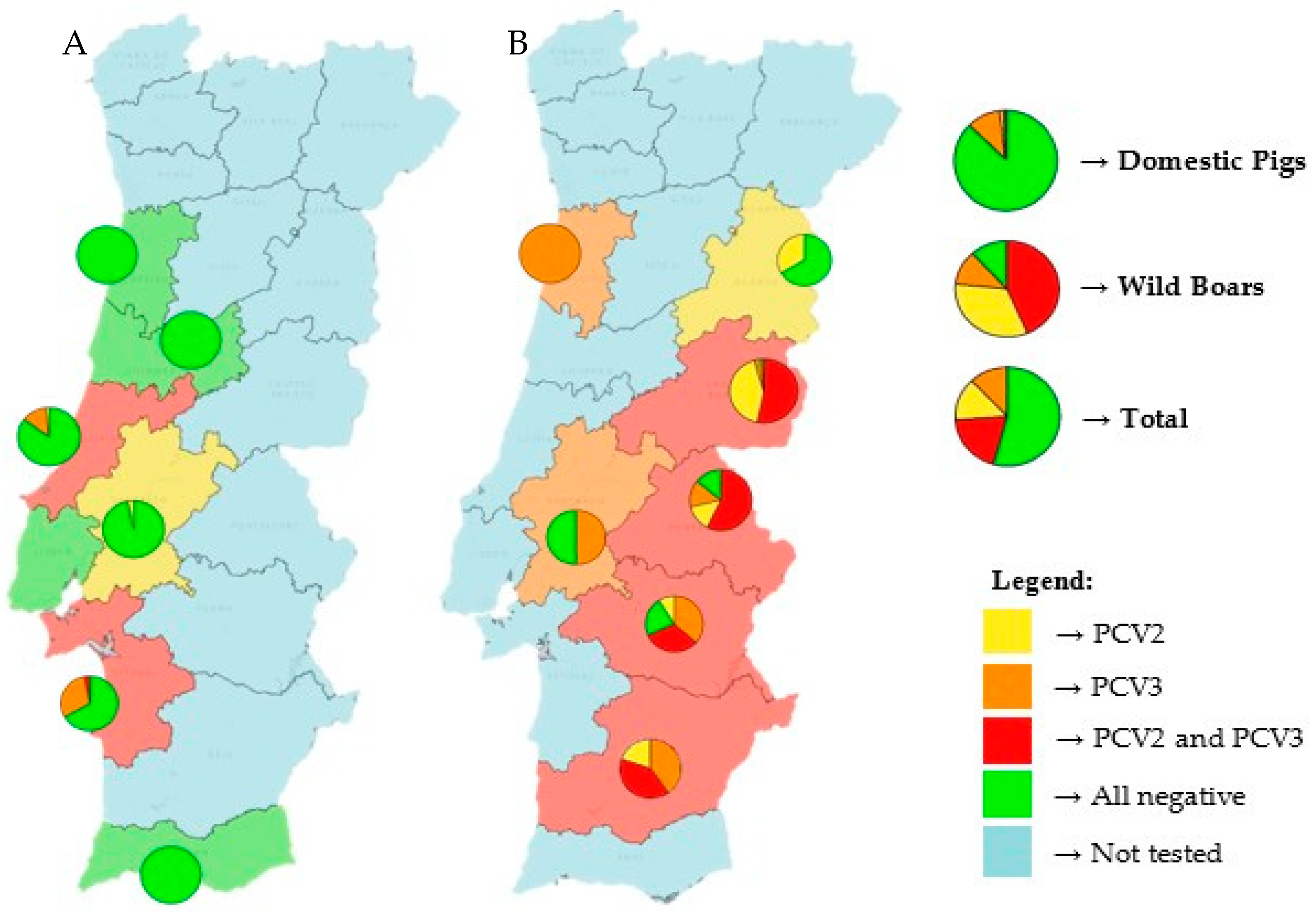 Pathogens 14 00675 g001