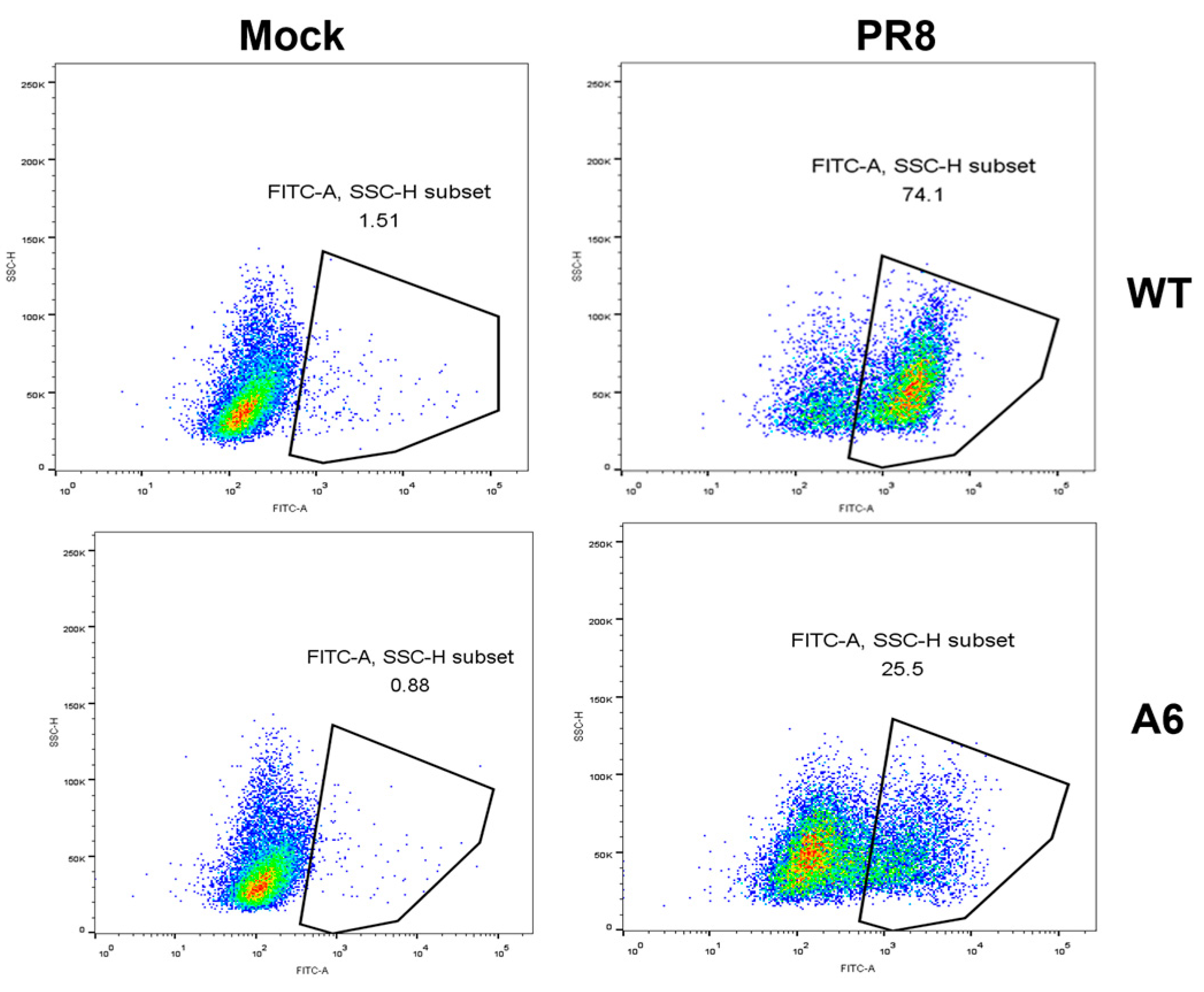 Pathogens 14 00677 g005