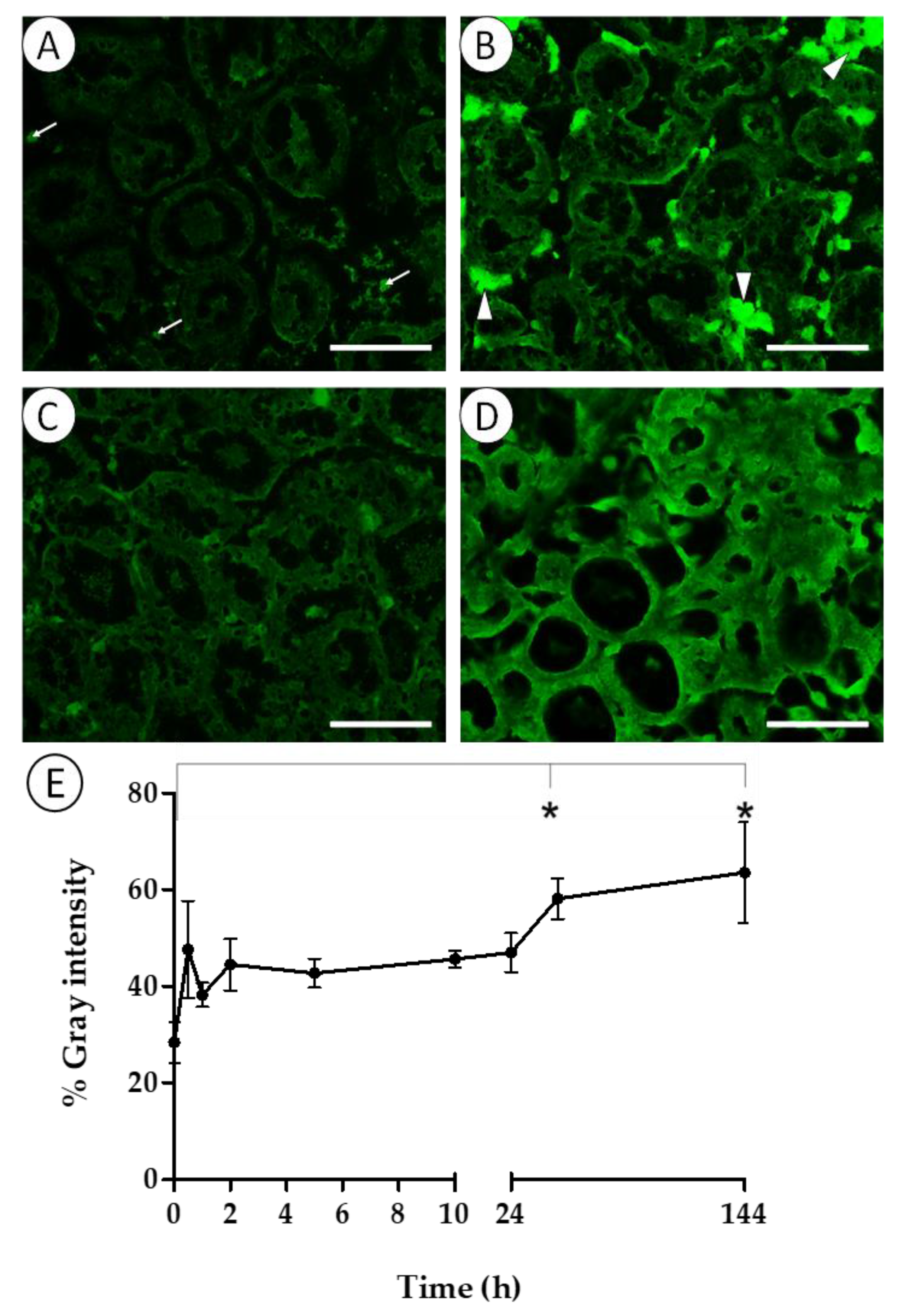 Pathogens 14 00687 g003 Pathogens 14 00687 g003