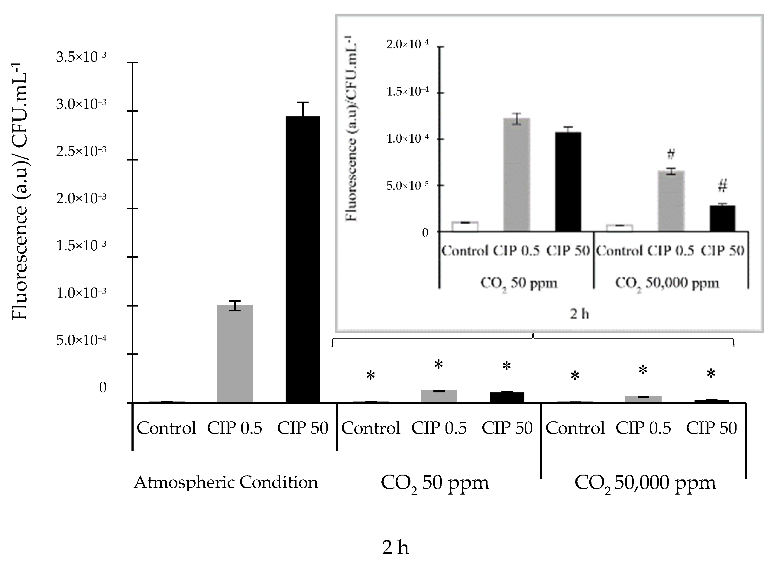 Pathogens 14 00689 g002