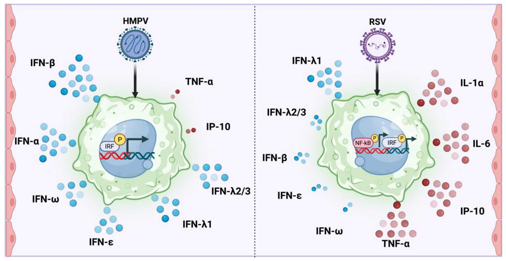 Pathogens 14 00694 g007