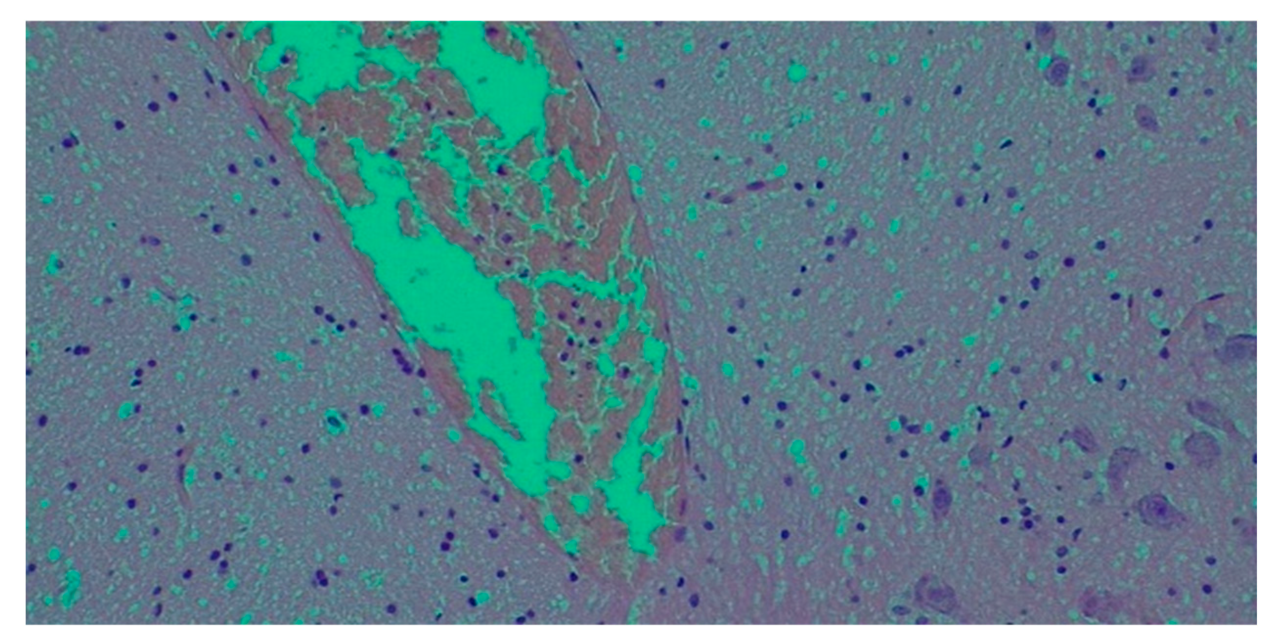 Pathogens 14 00703 g001 Pathogens 14 00703 g001