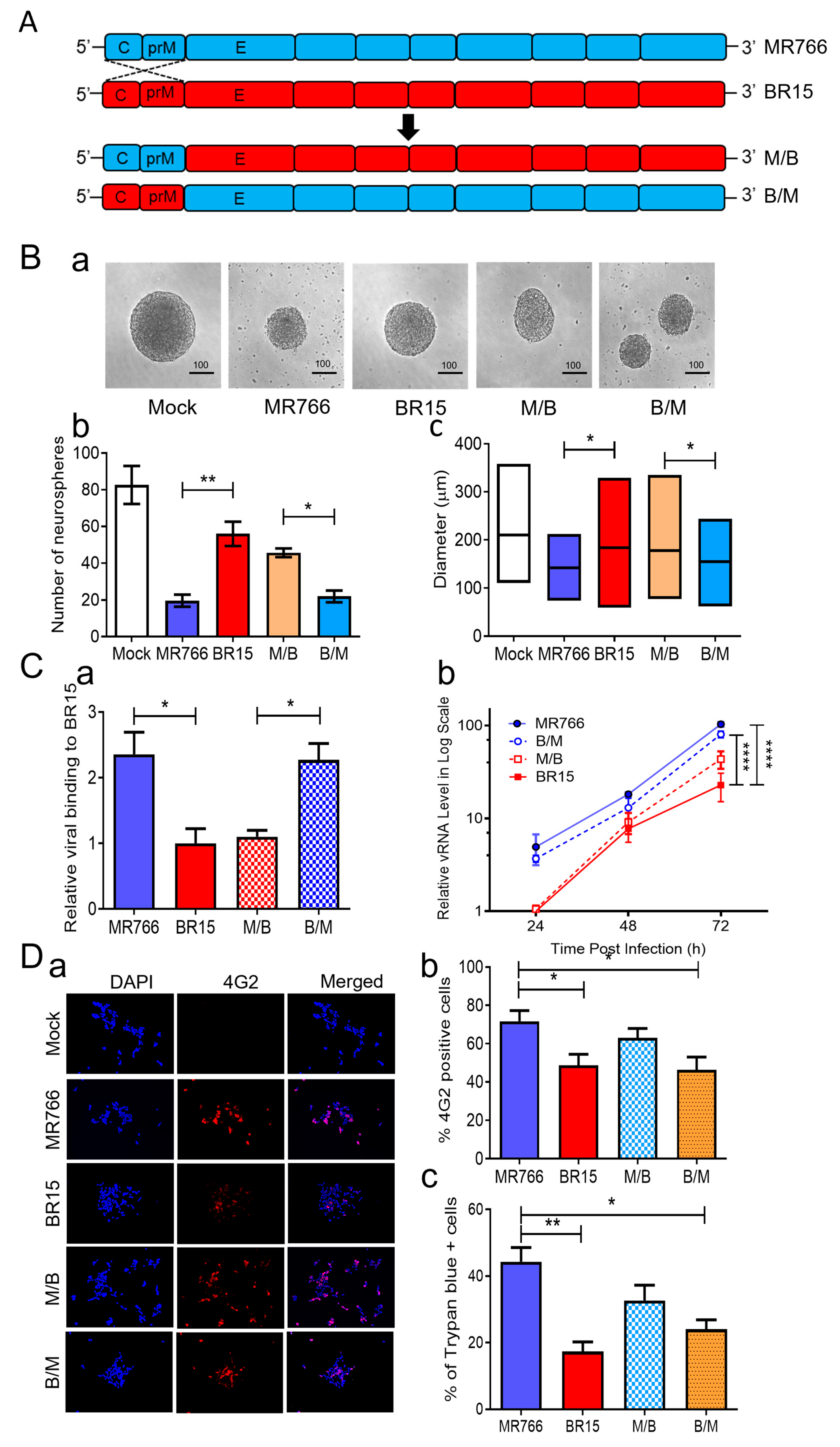 Pathogens 14 00716 g002a