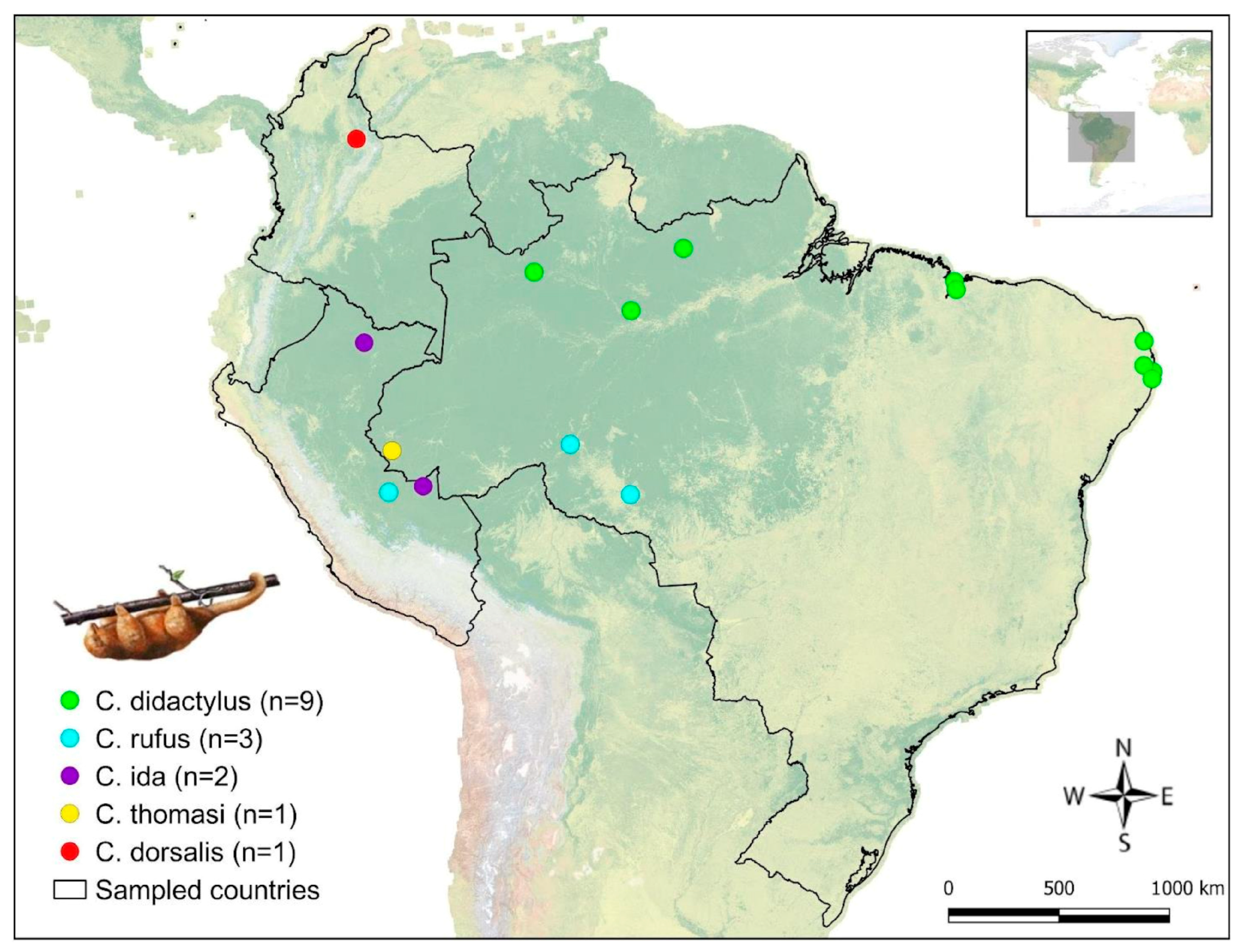 Pathogens 14 00718 g001