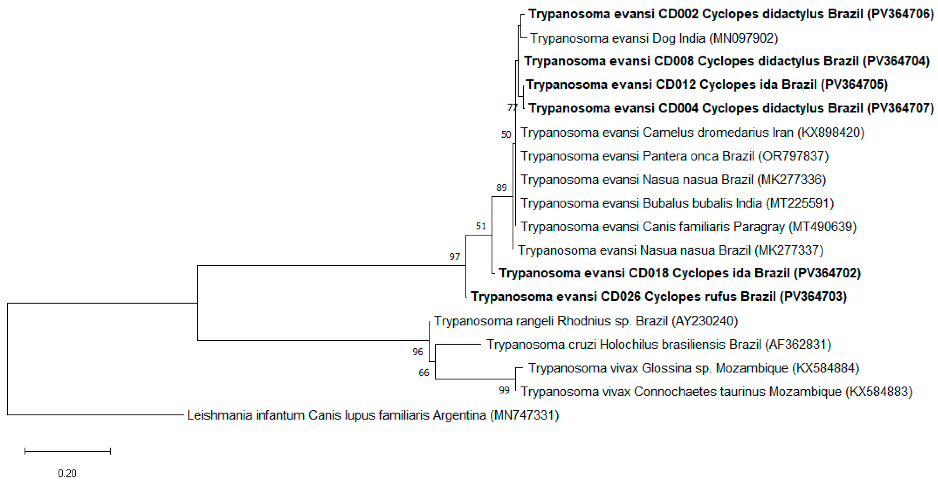 Pathogens 14 00718 g002