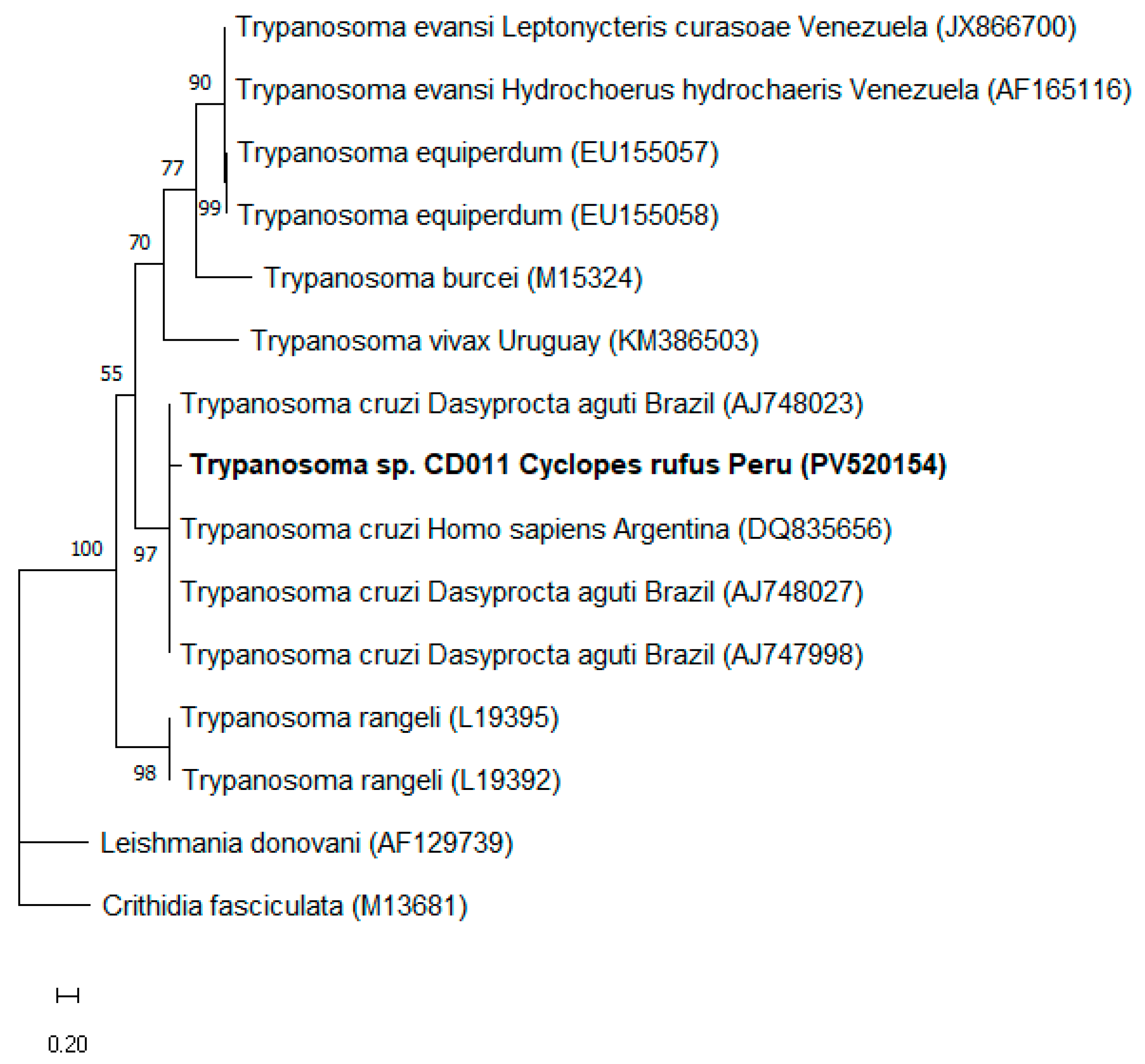 Pathogens 14 00718 g003