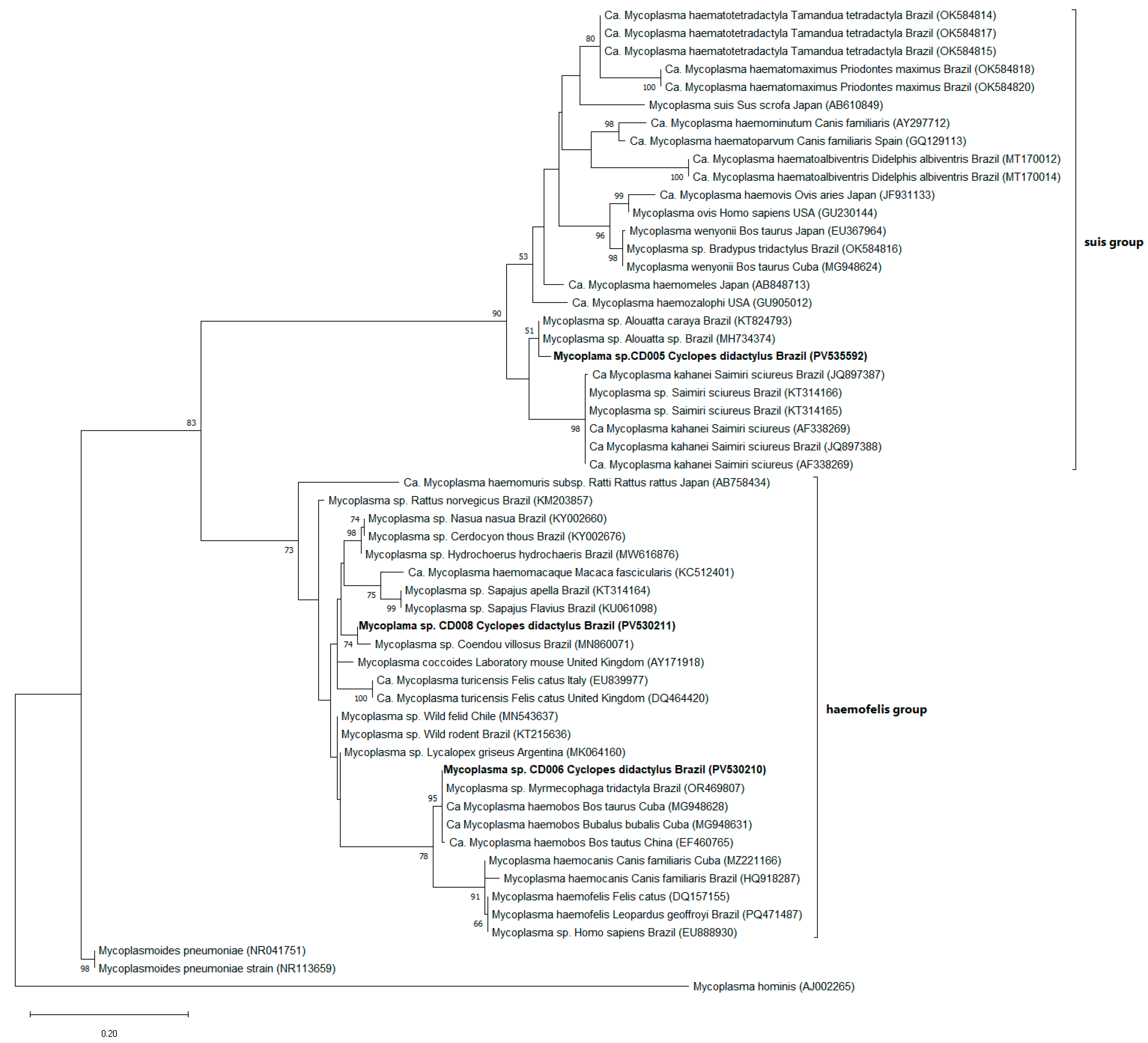 Pathogens 14 00718 g004