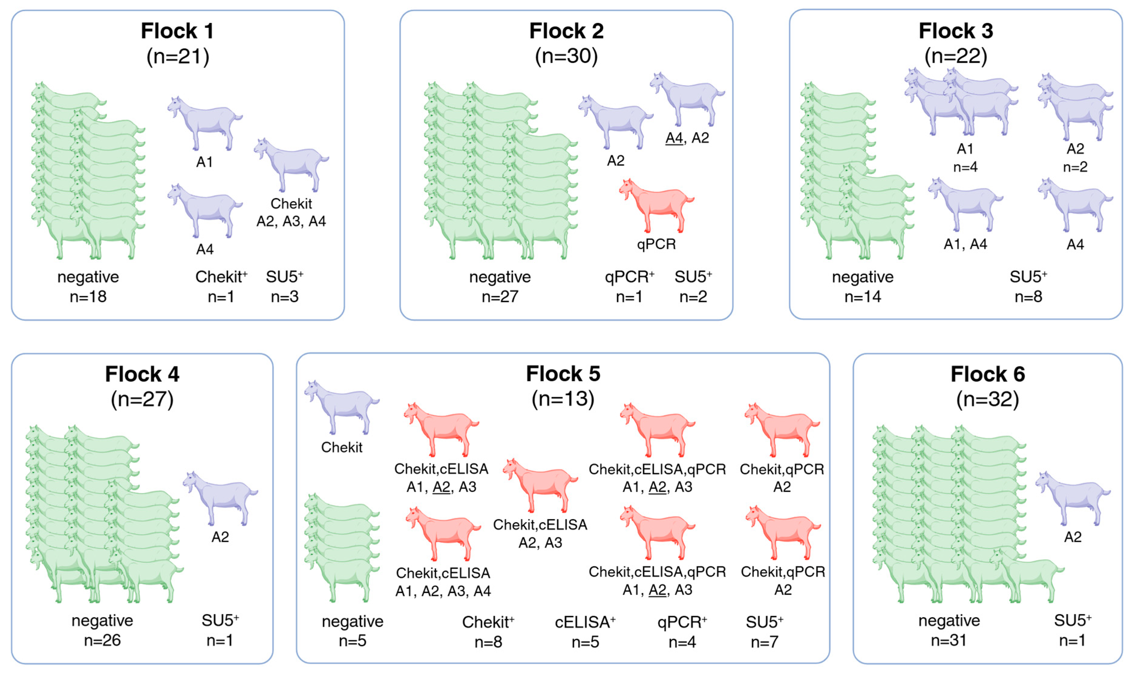 Pathogens 14 00719 g001