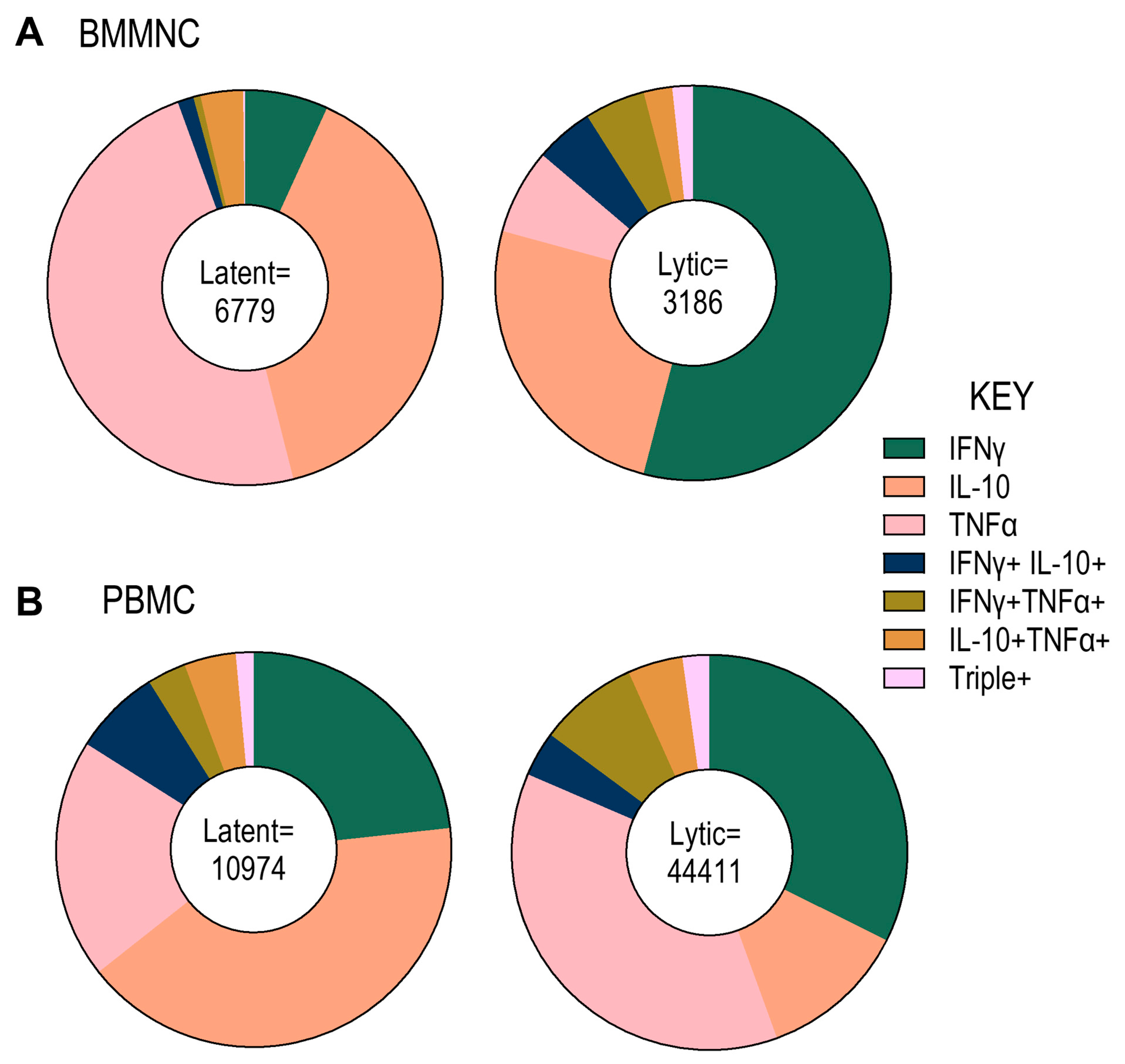 Pathogens 14 00722 g002