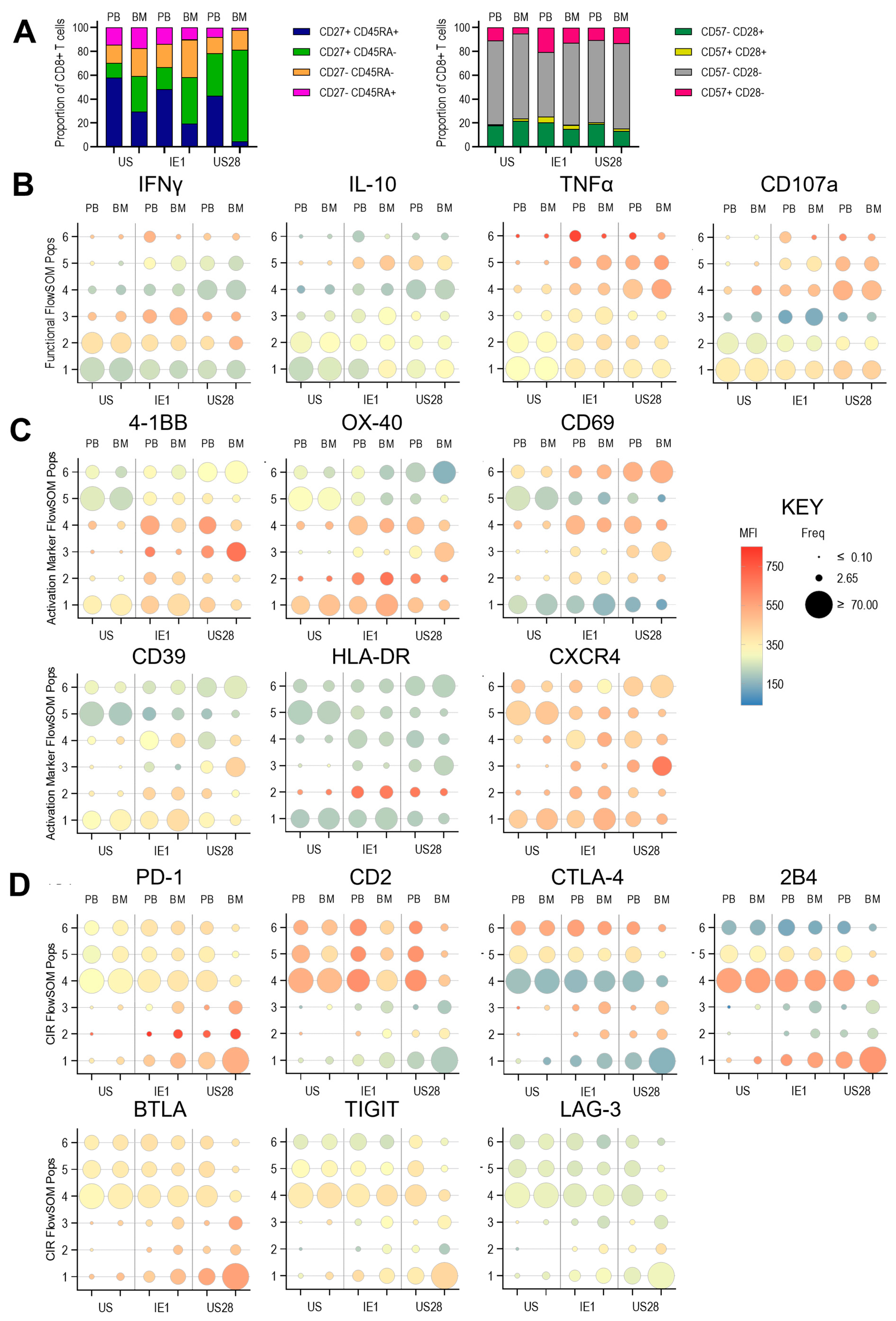 Pathogens 14 00722 g006