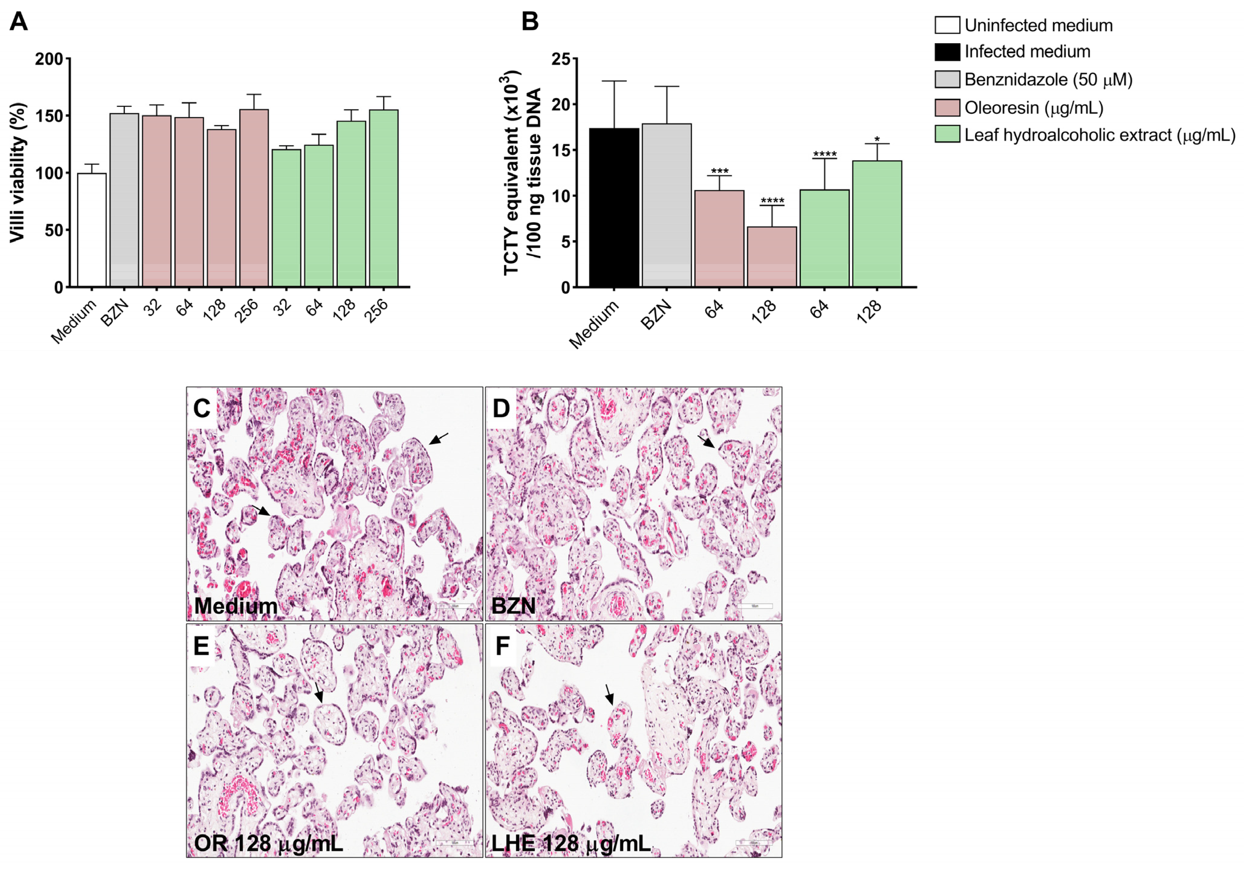 Pathogens 14 00736 g008