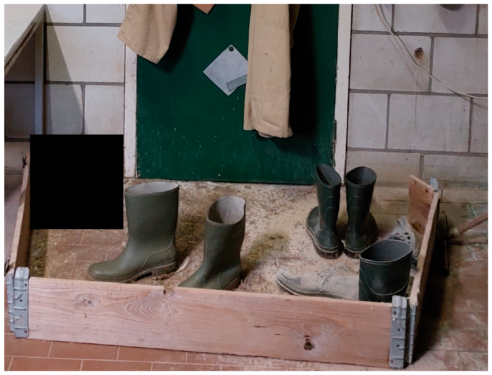 Pathogens 14 00751 g006