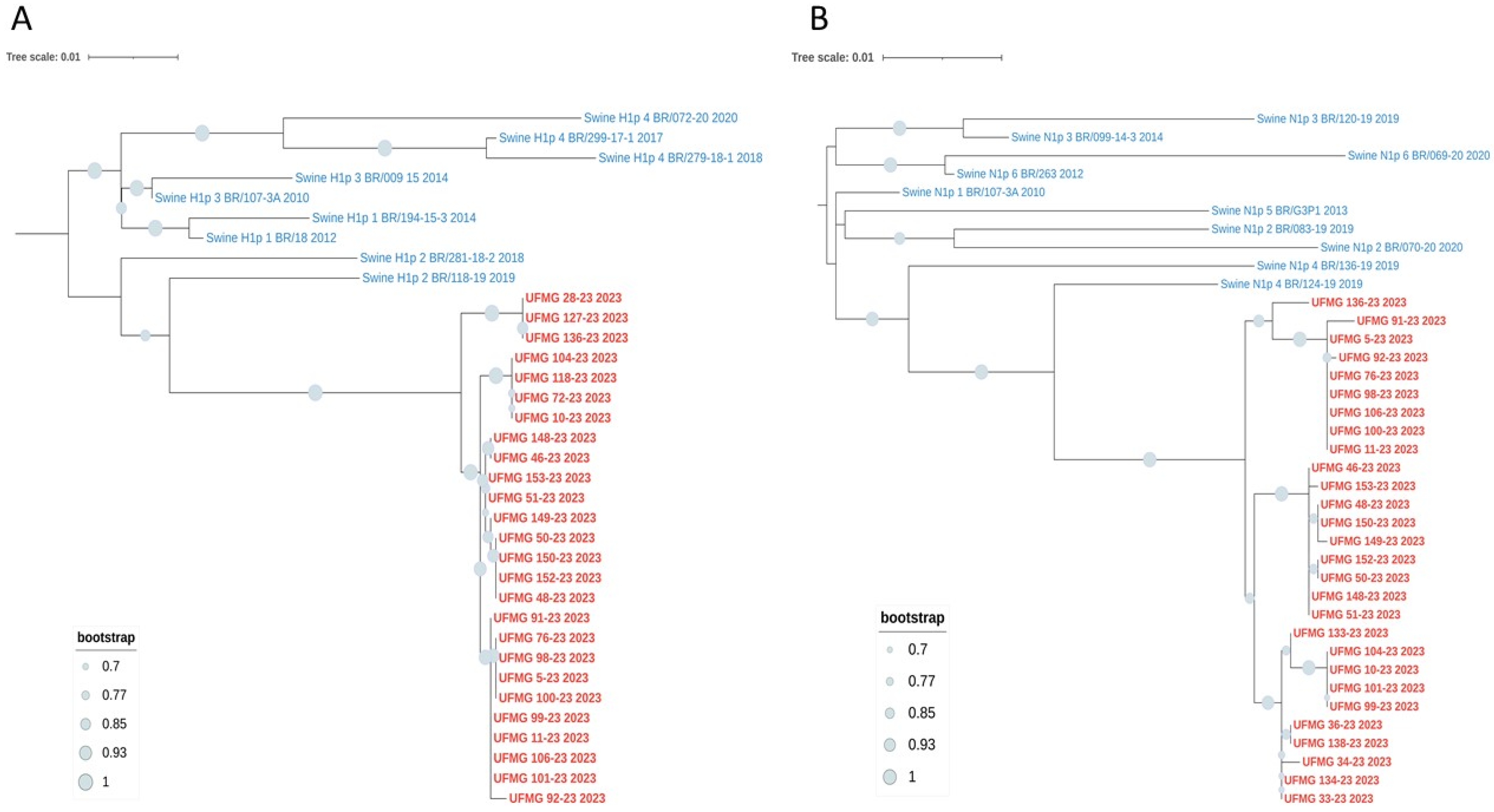 Pathogens 14 00753 g006