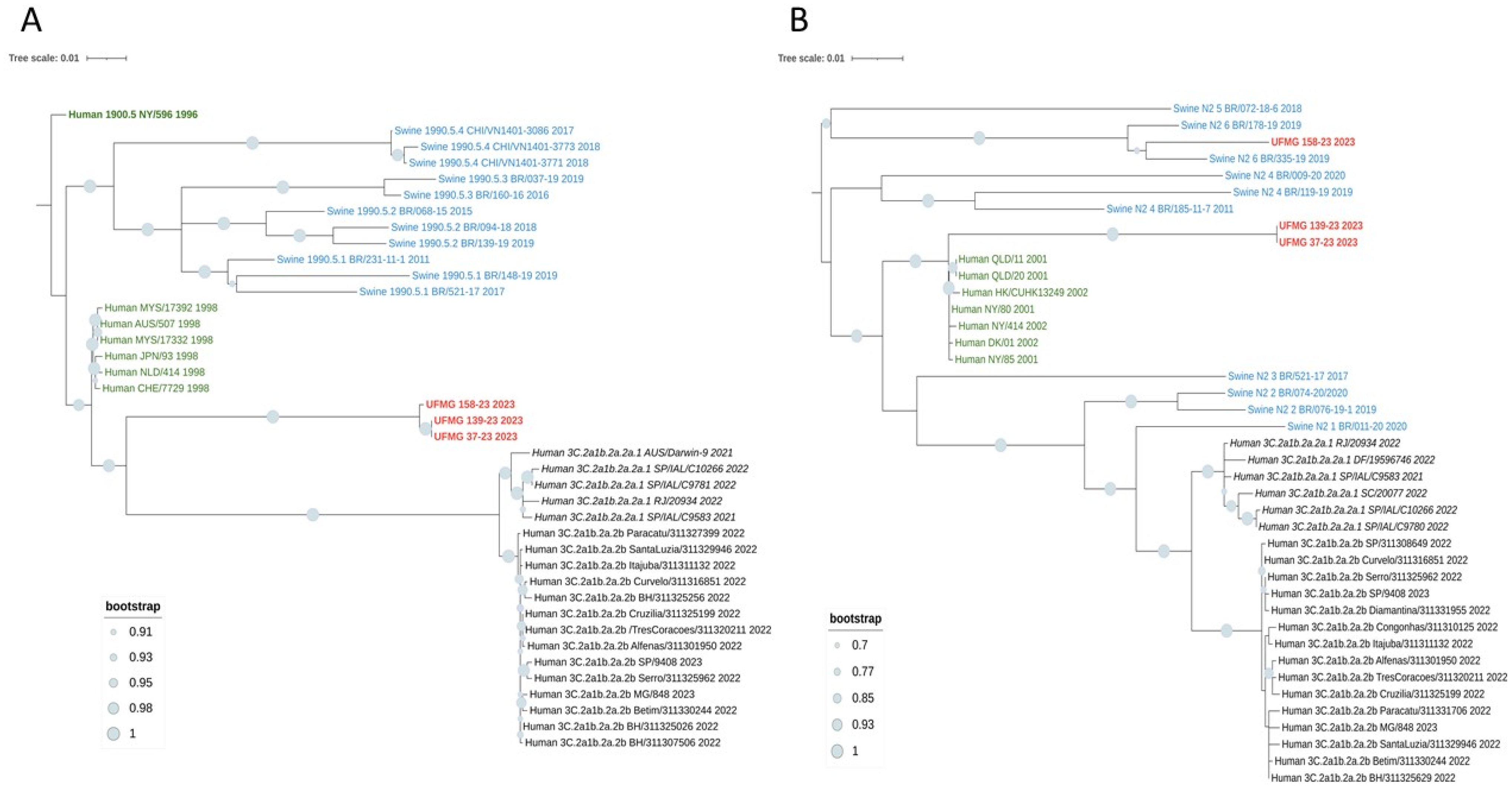 Pathogens 14 00753 g007
