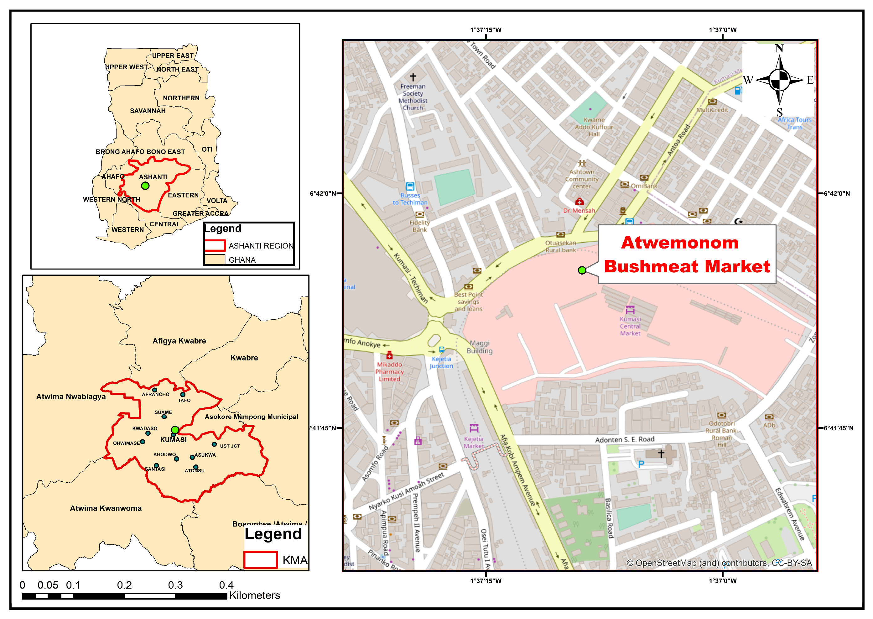 Pathogens 14 00754 g001