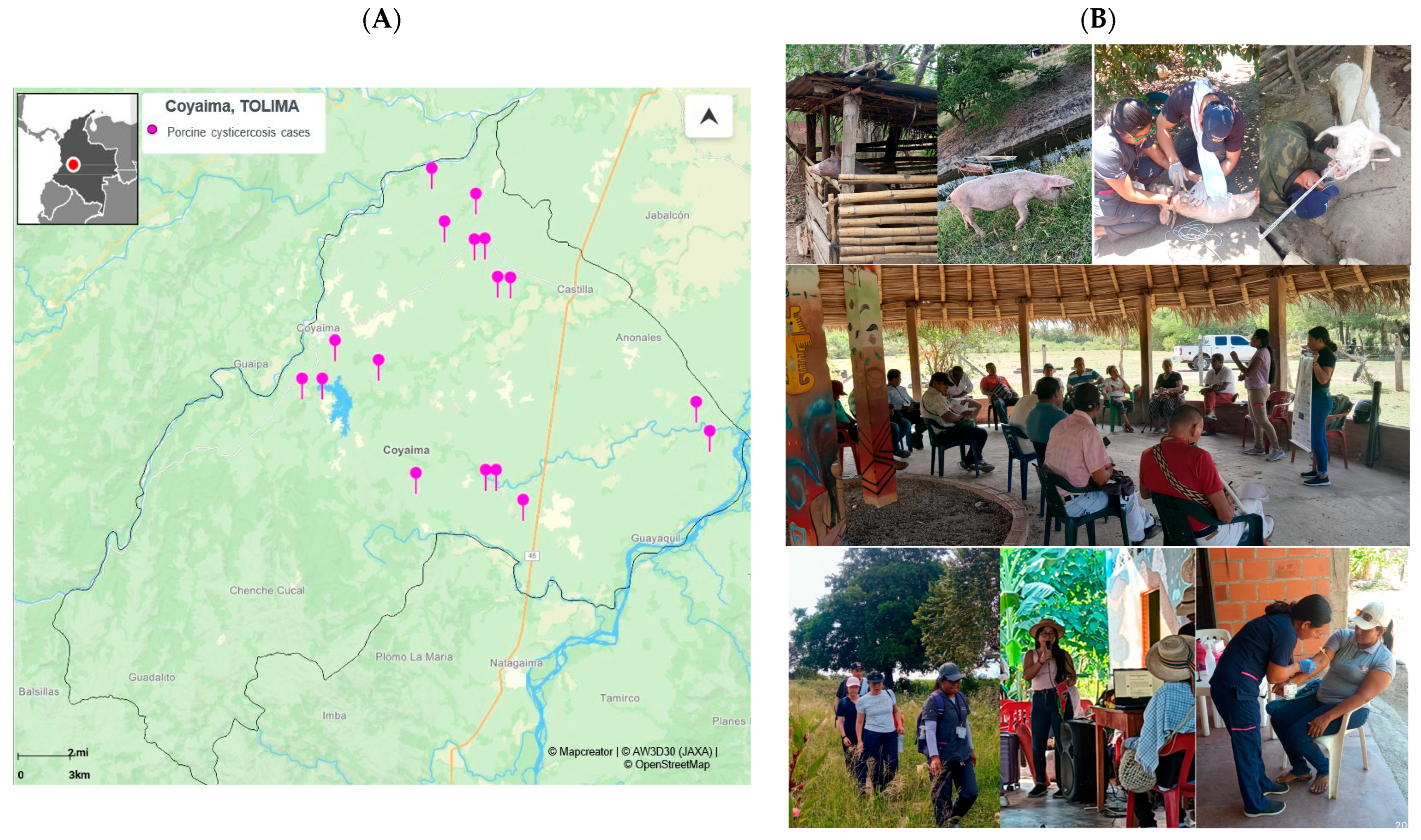 Pathogens 14 00755 g003 Pathogens 14 00755 g003