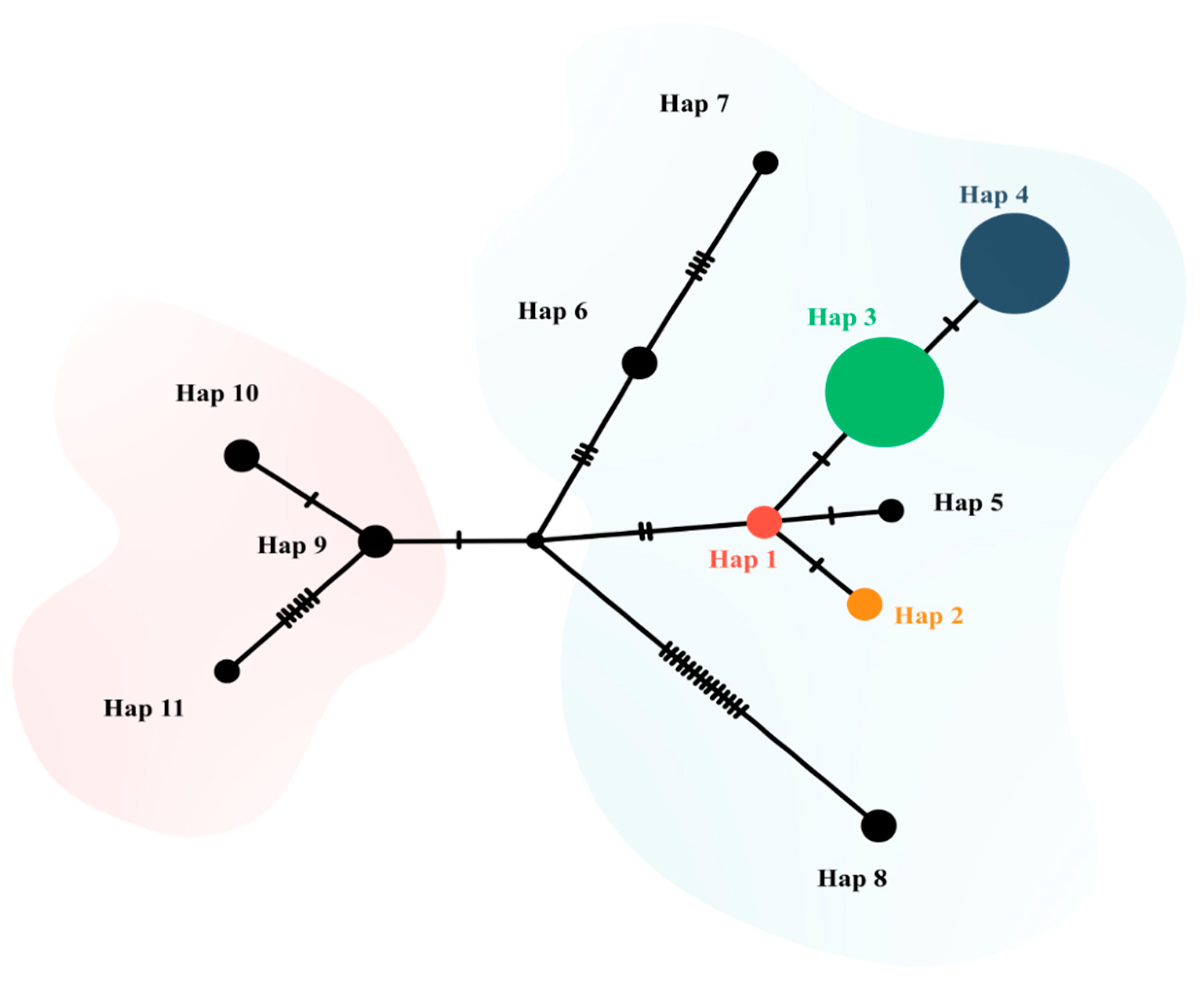 Pathogens 14 00756 g004