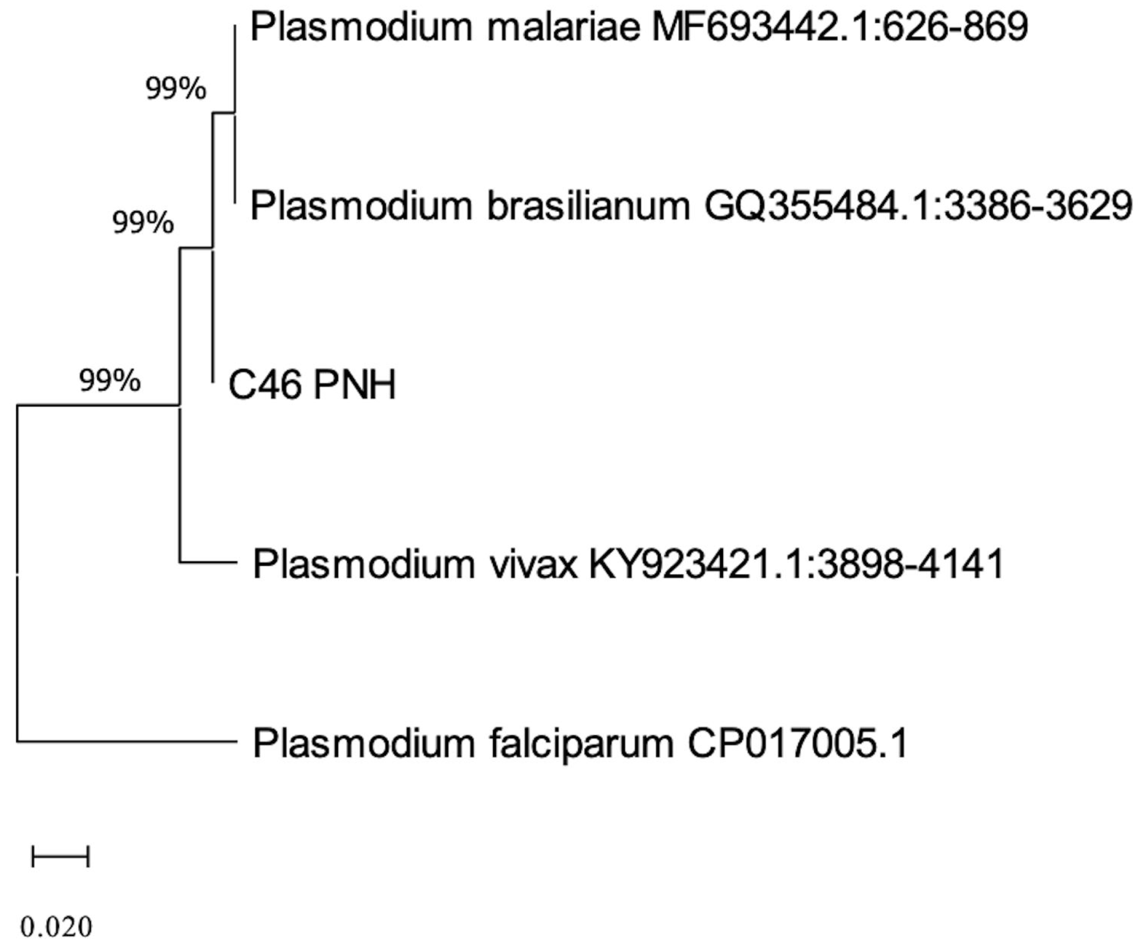 Pathogens 14 00757 g004 Pathogens 14 00757 g004