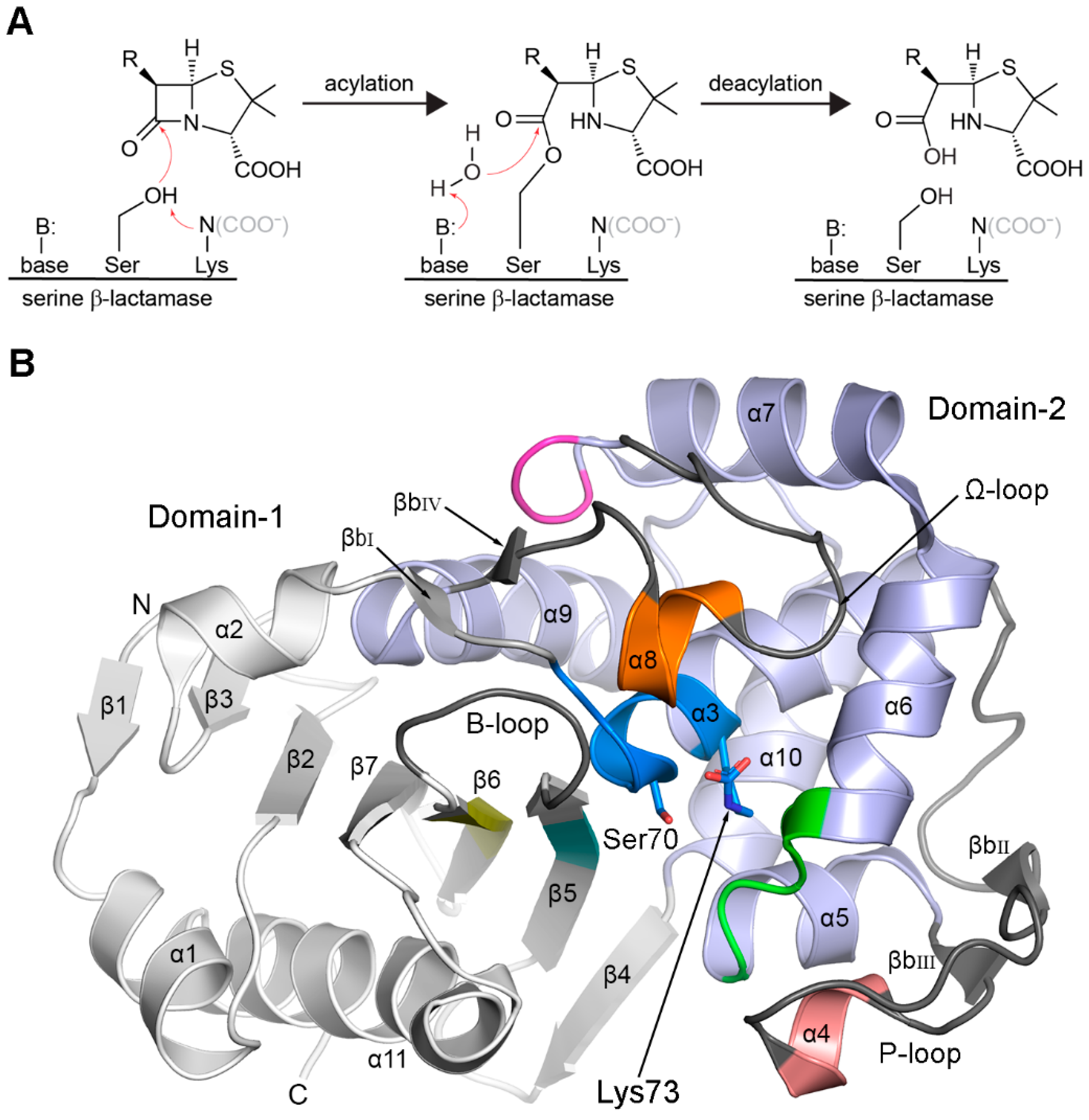 Pathogens 14 00761 g001