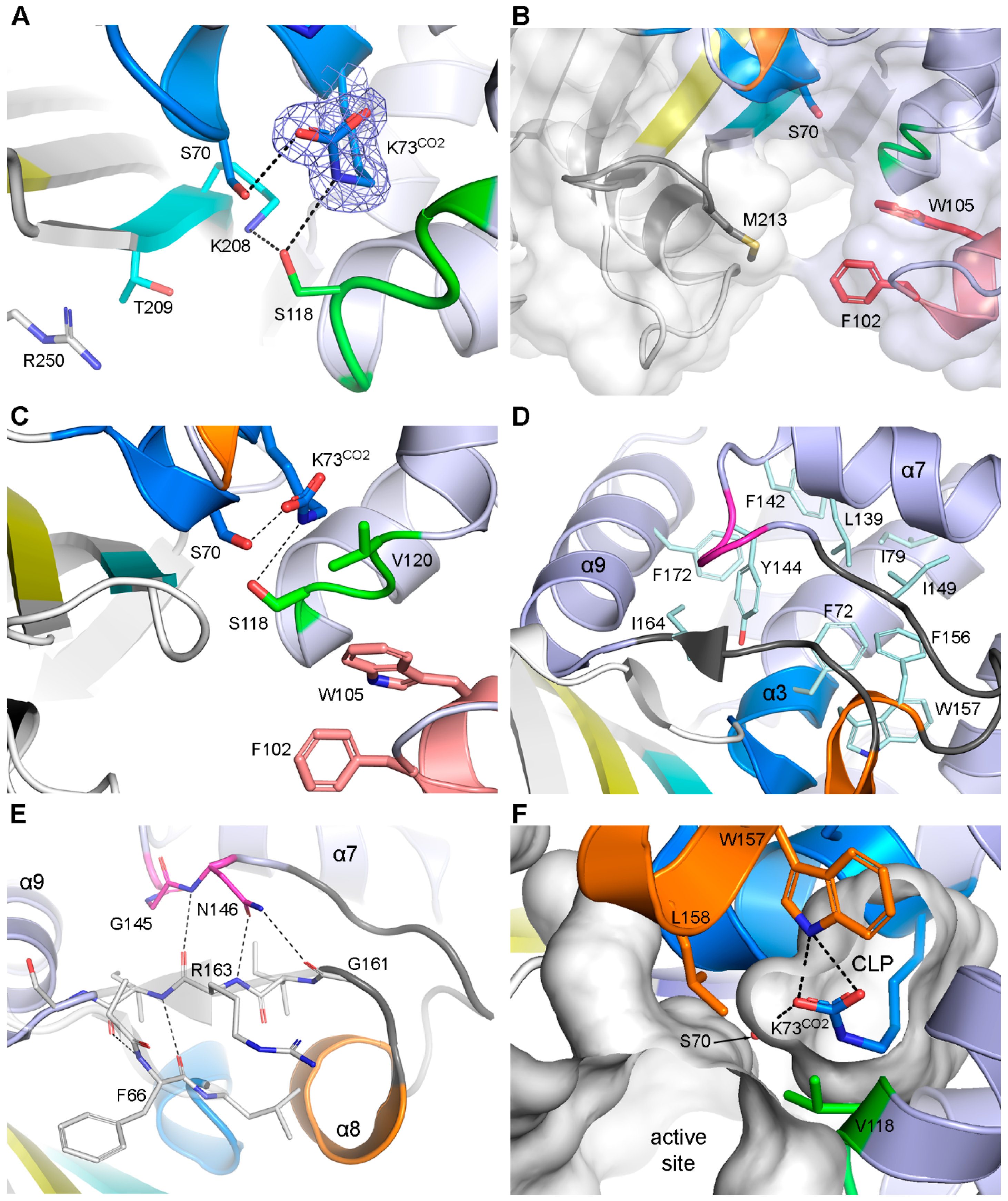 Pathogens 14 00761 g003