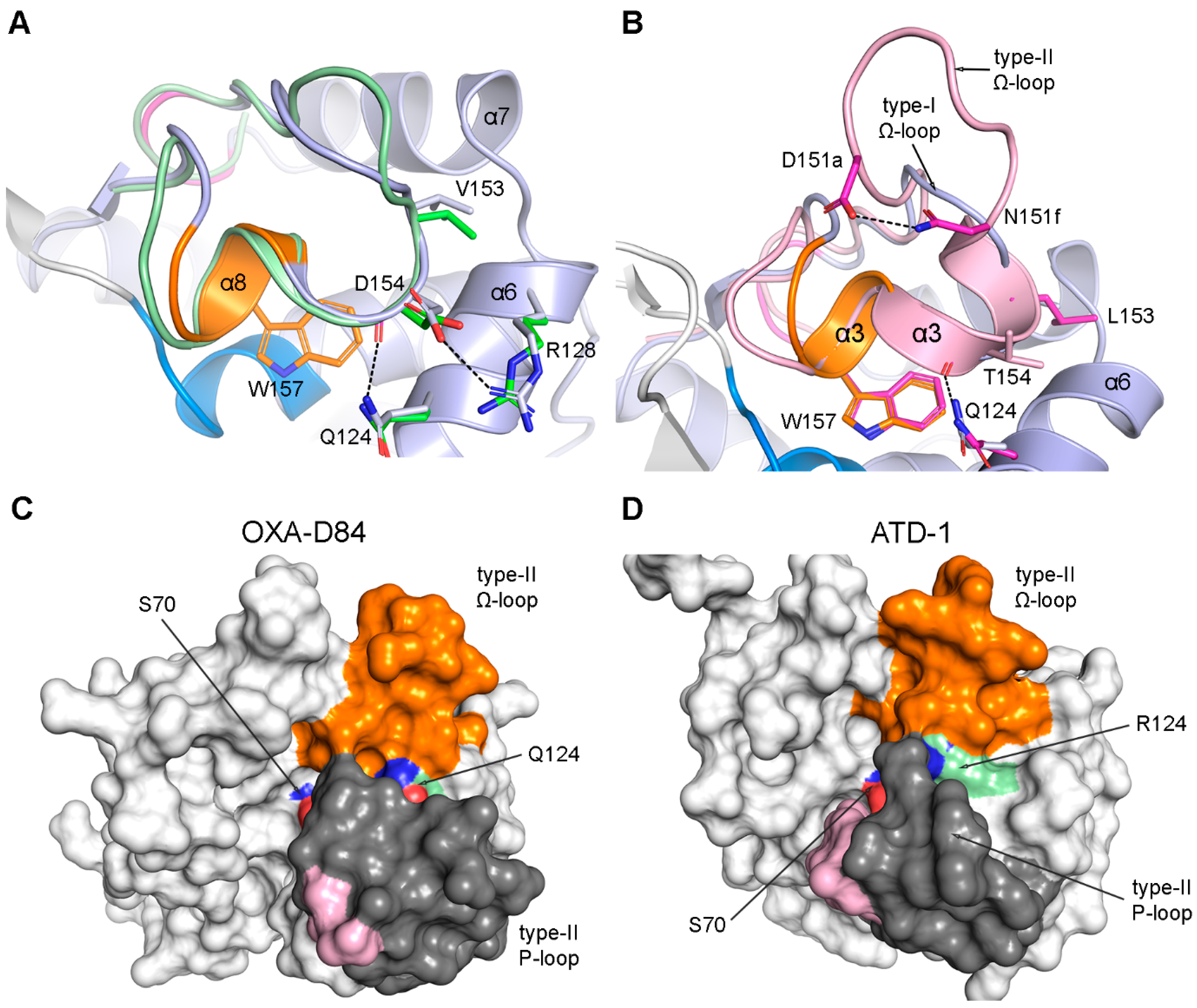 Pathogens 14 00761 g005