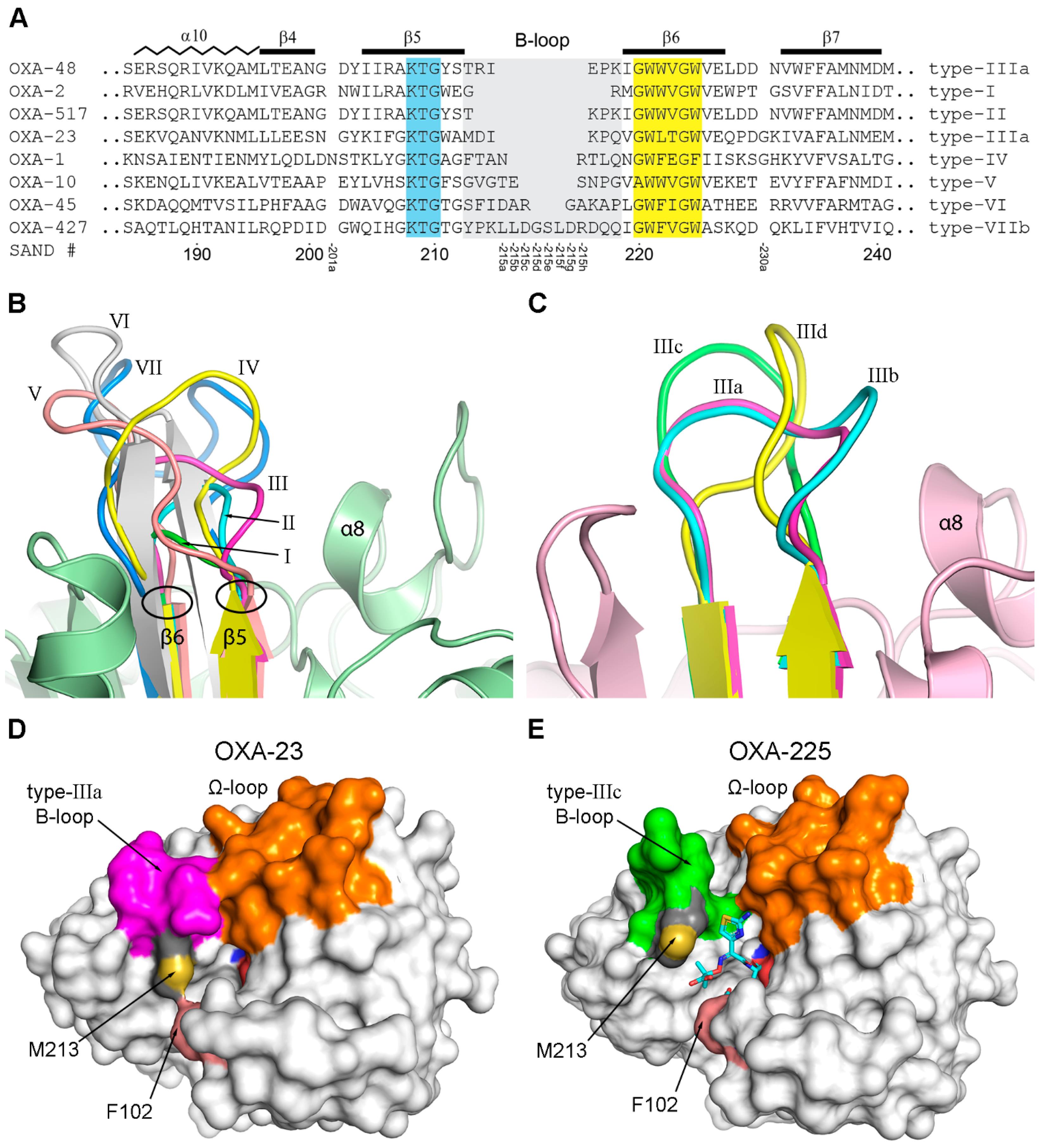 Pathogens 14 00761 g006