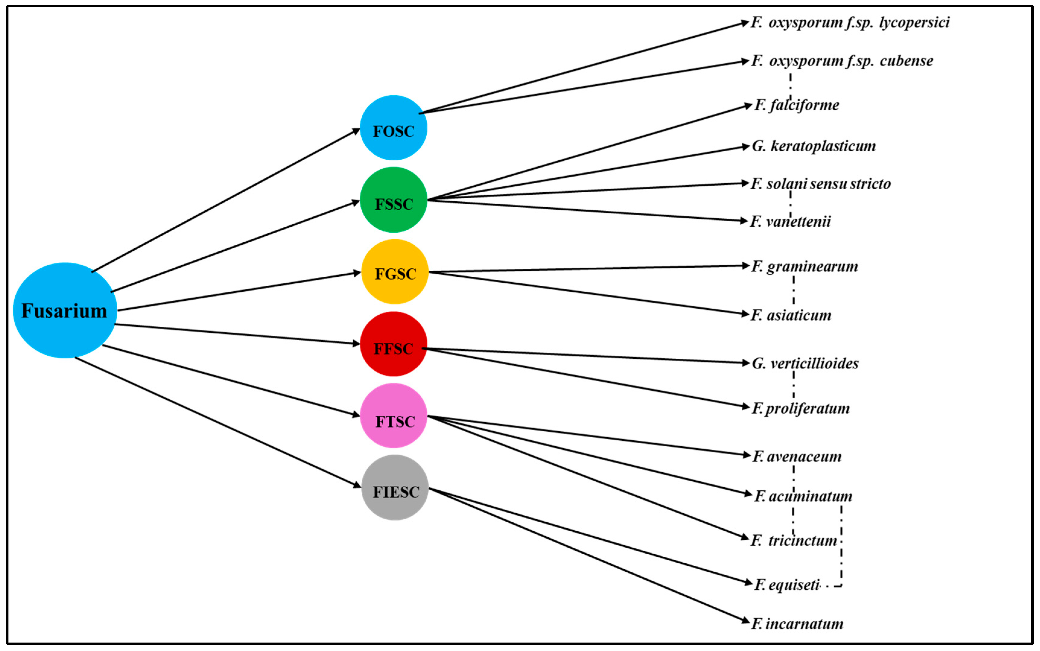 Pathogens 14 00762 g002