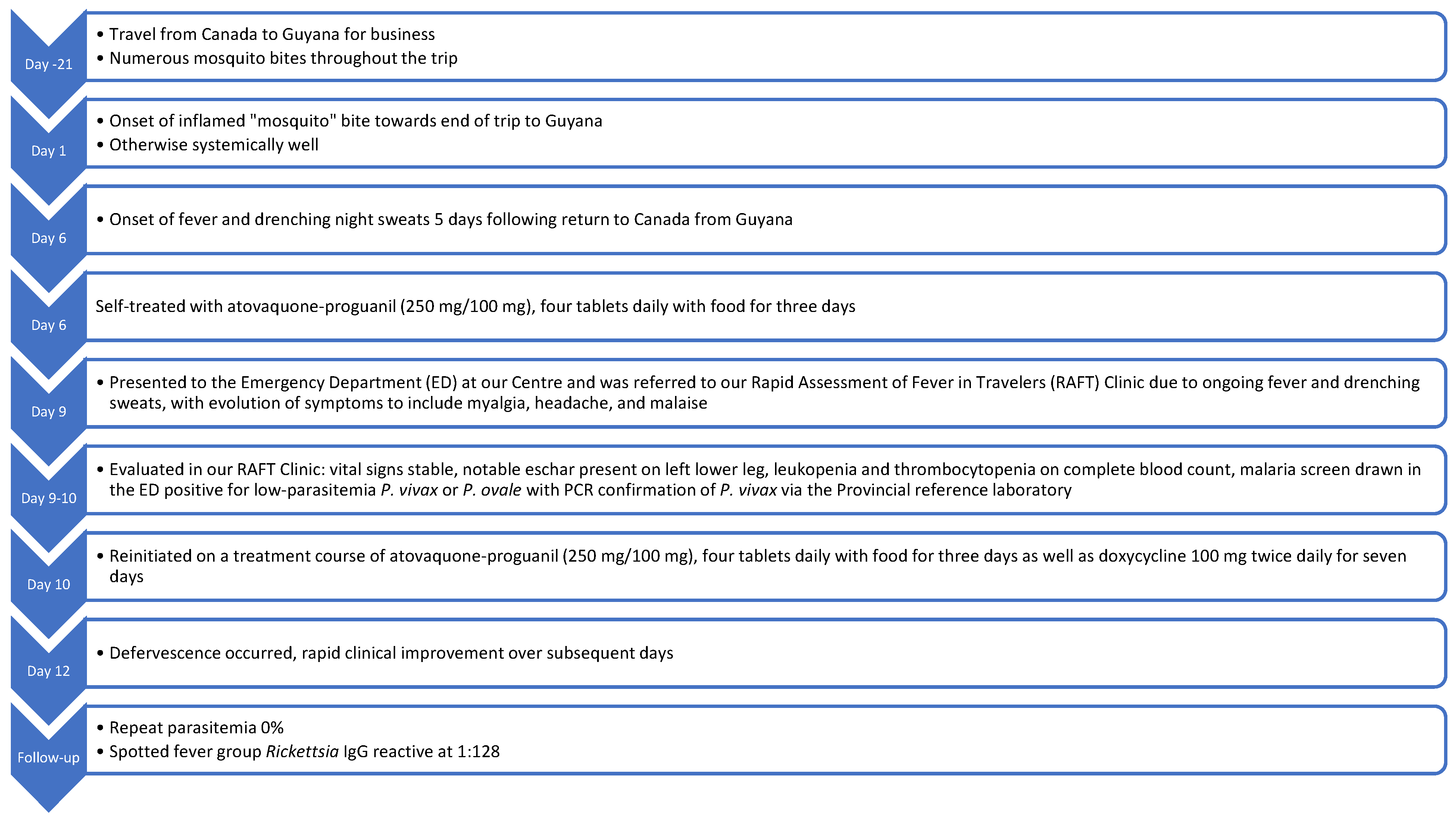 Pathogens 14 00768 g001