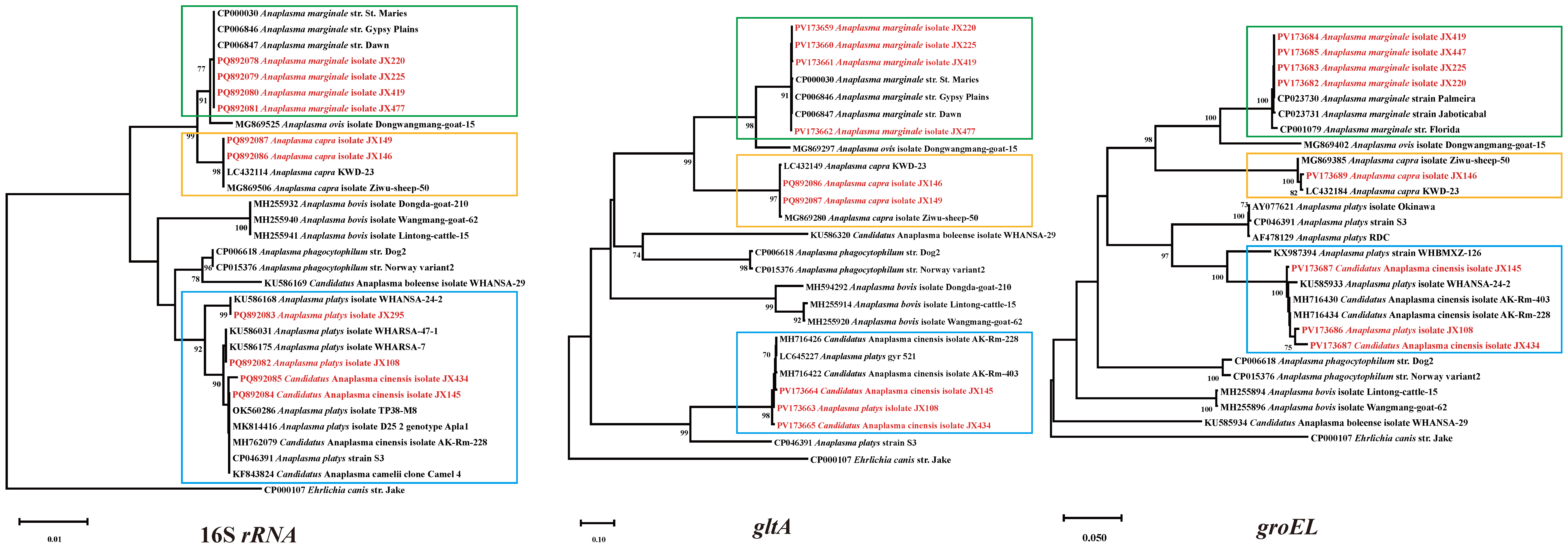 Pathogens 14 00770 g004