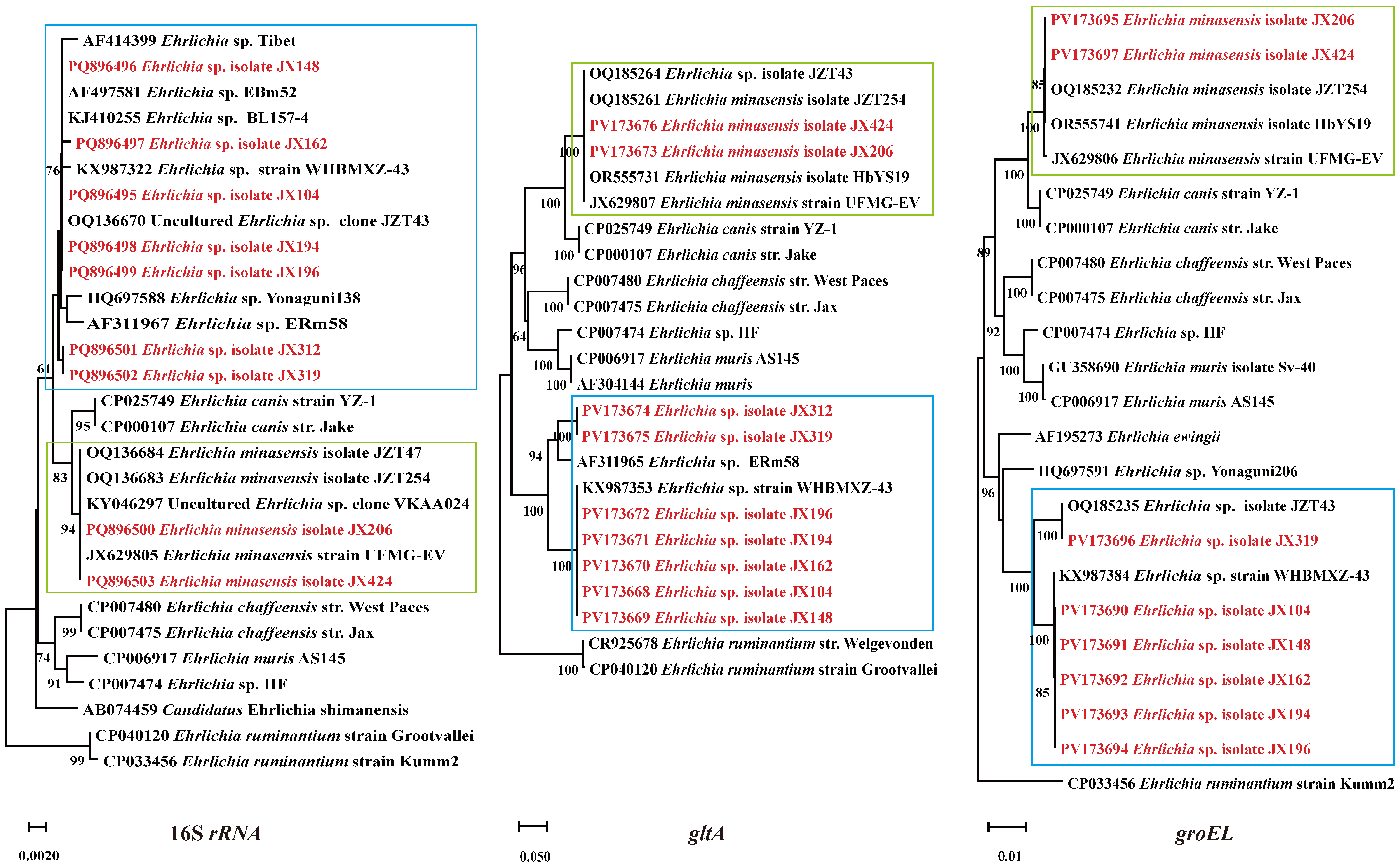 Pathogens 14 00770 g005