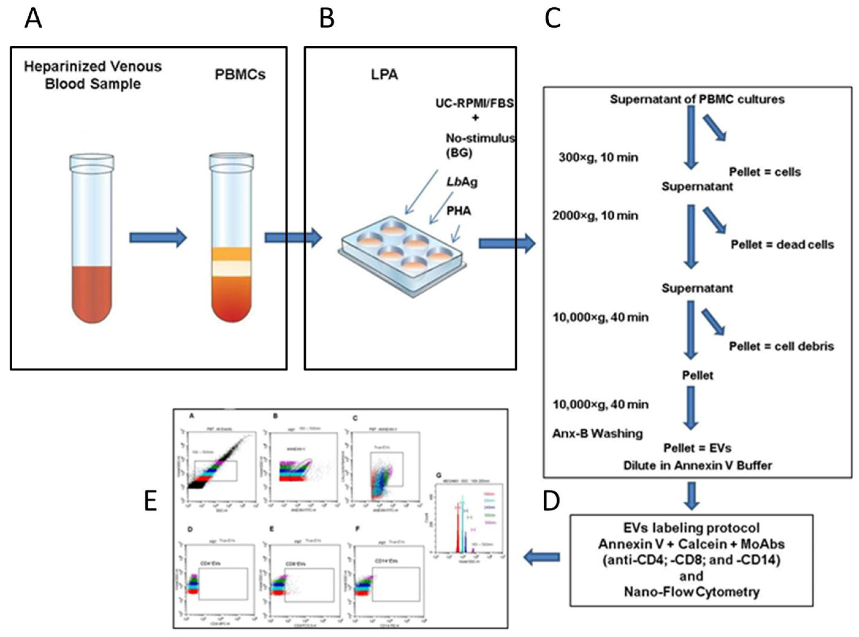 Pathogens 14 00771 g001