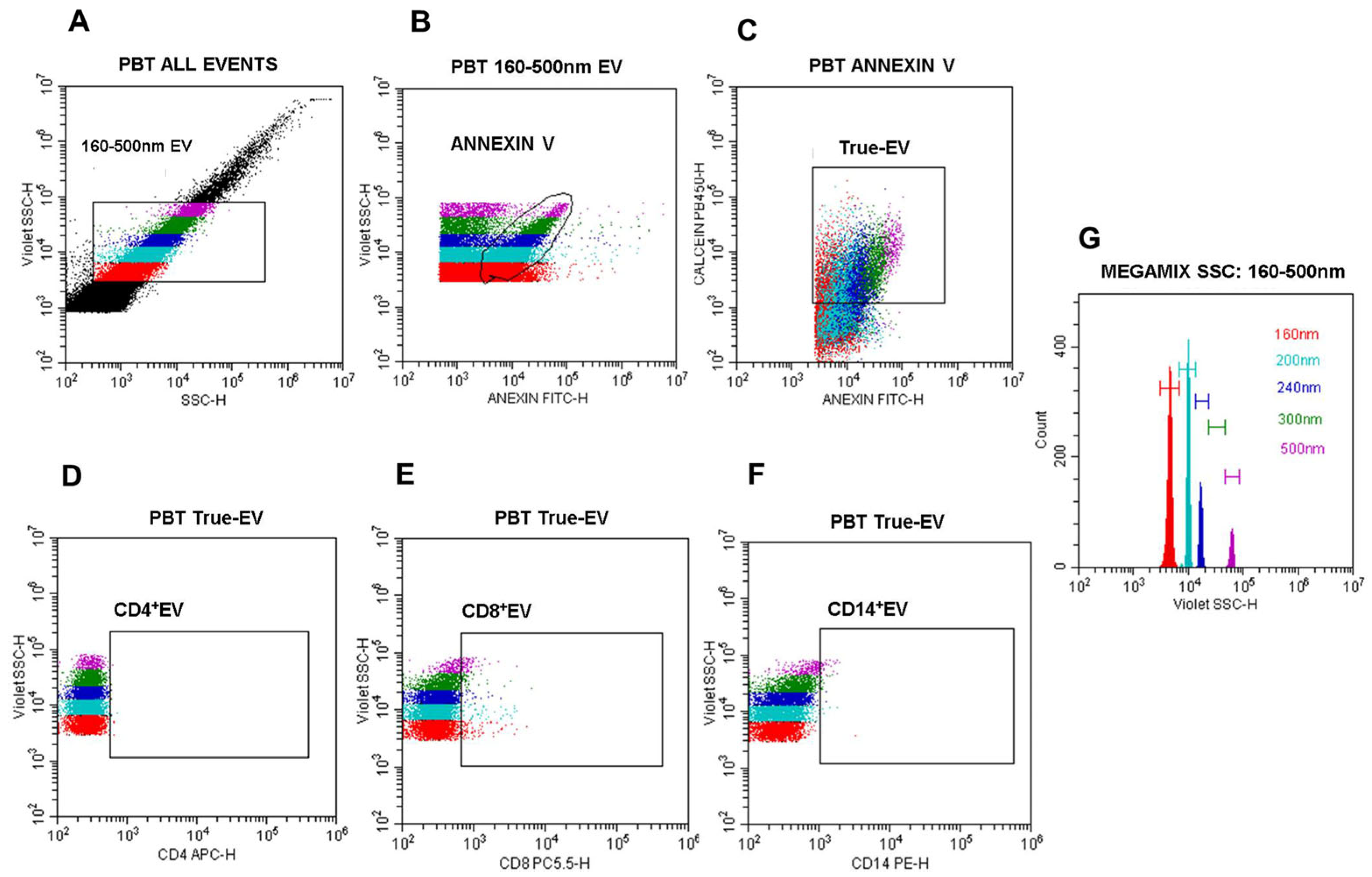 Pathogens 14 00771 g002
