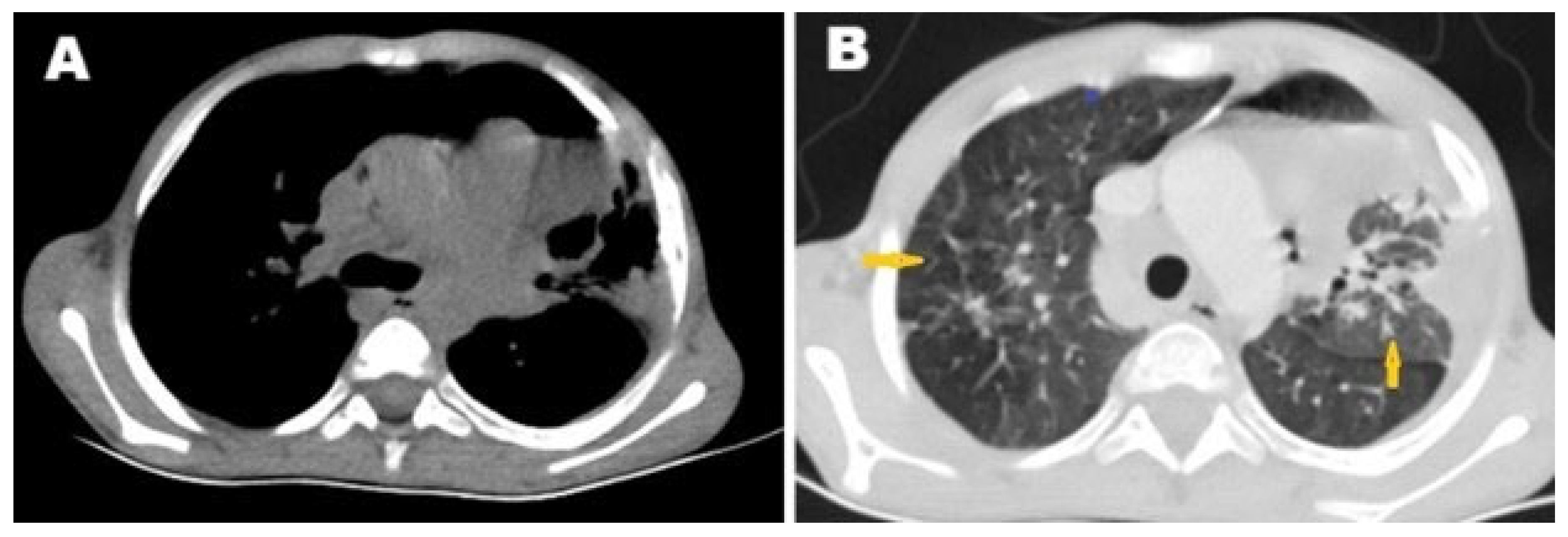 Pathogens 14 00772 g001 Pathogens 14 00772 g001