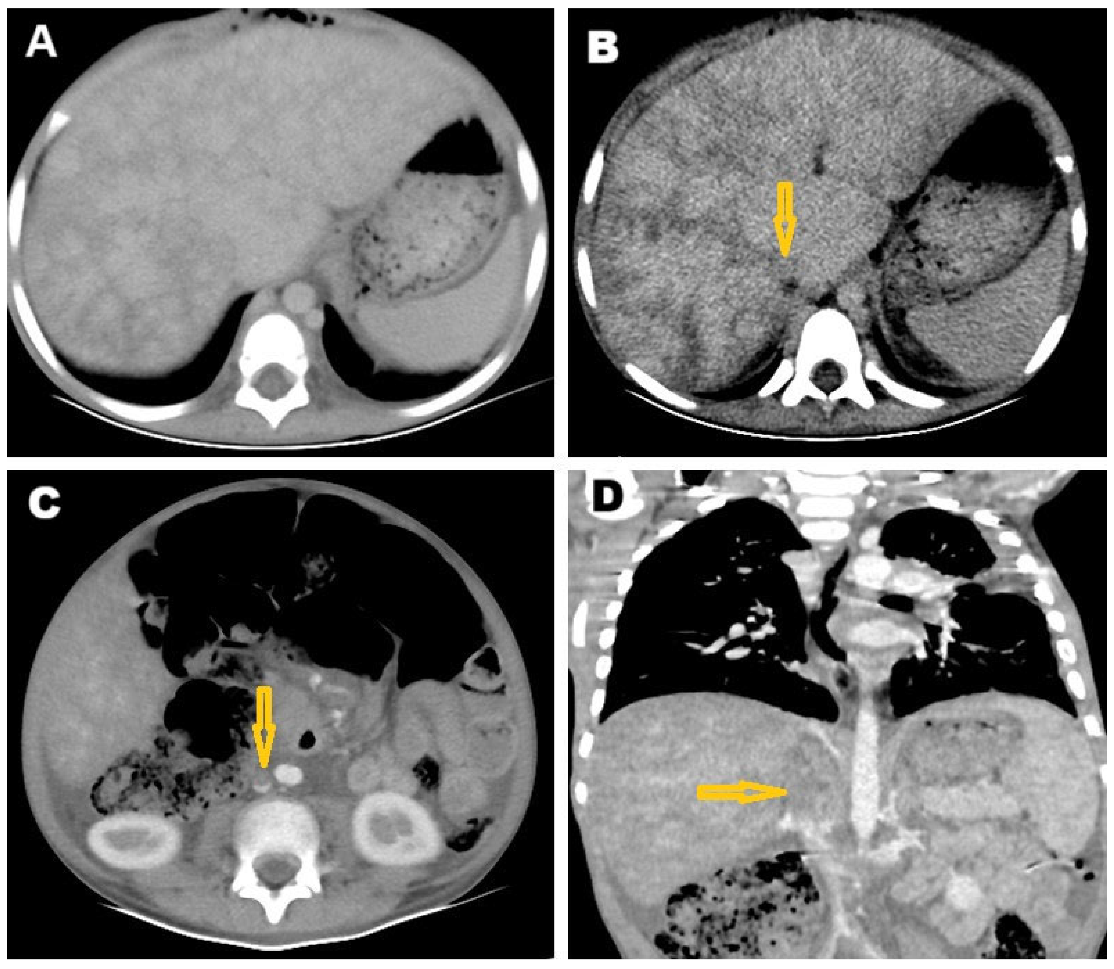 Pathogens 14 00772 g003 Pathogens 14 00772 g003