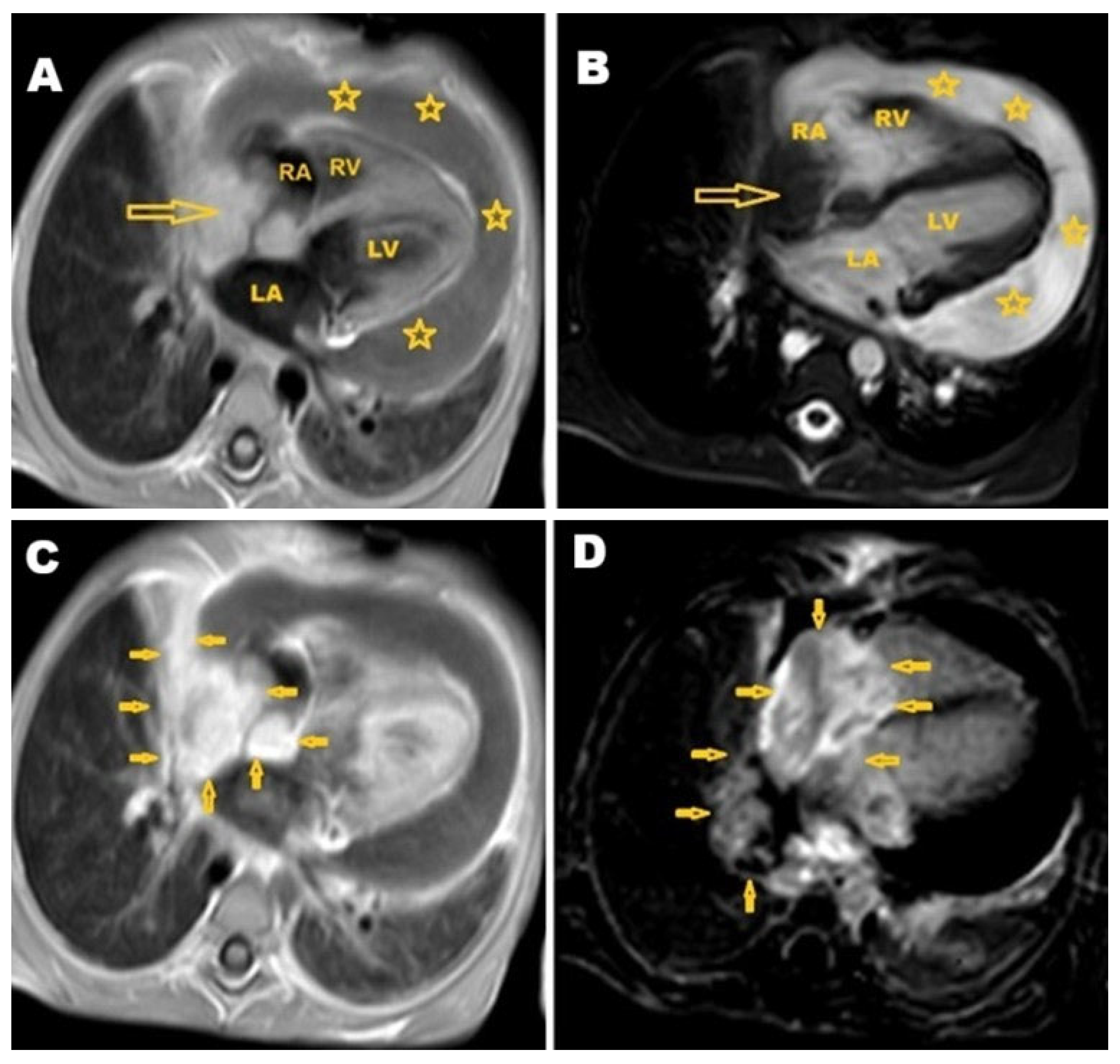 Pathogens 14 00772 g004 Pathogens 14 00772 g004