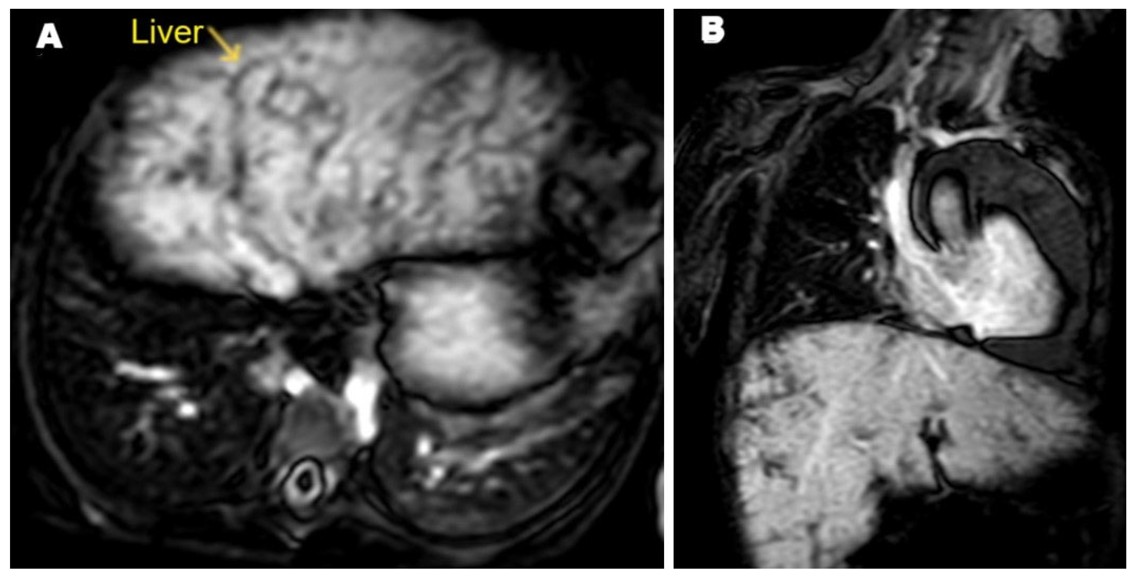 Pathogens 14 00772 g005 Pathogens 14 00772 g005