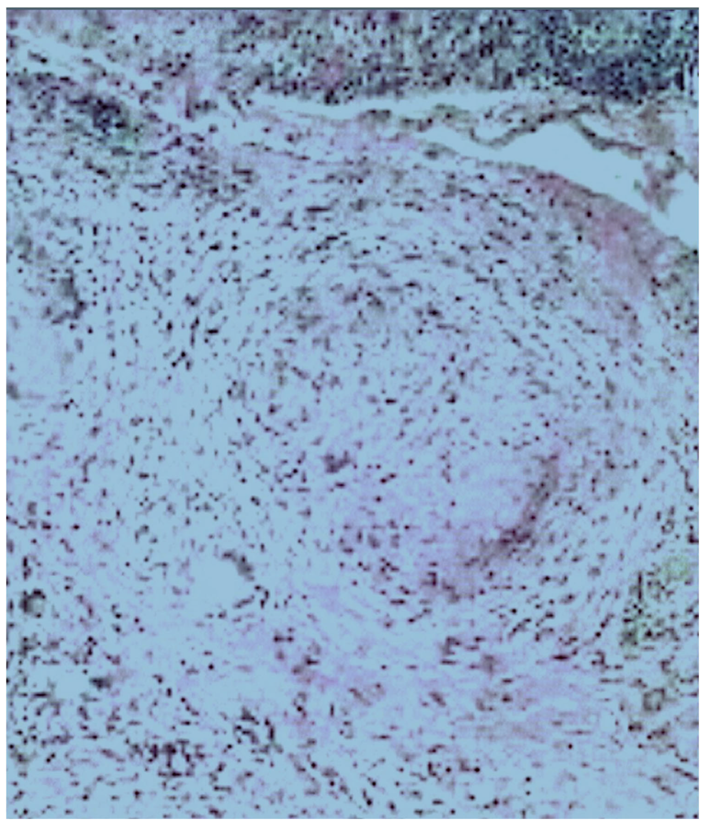 Pathogens 14 00772 g006 Pathogens 14 00772 g006