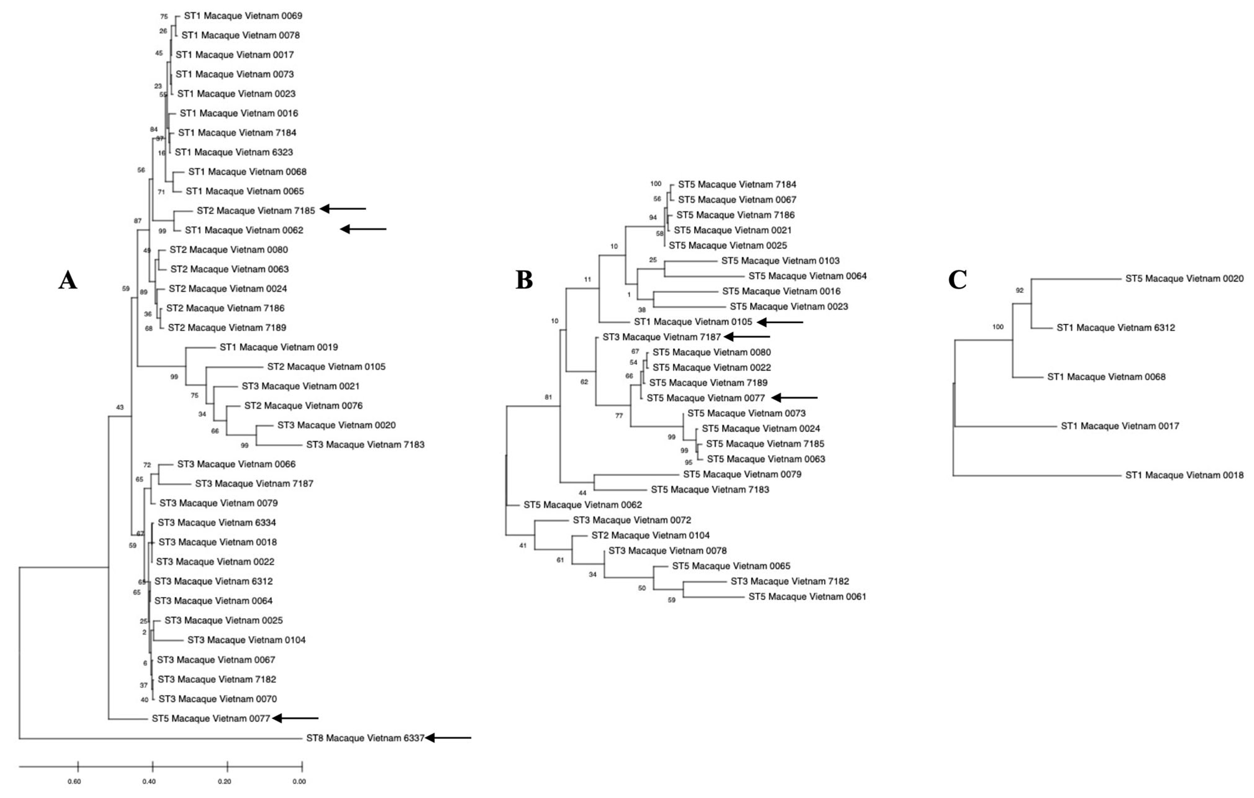 Pathogens 14 00773 g001