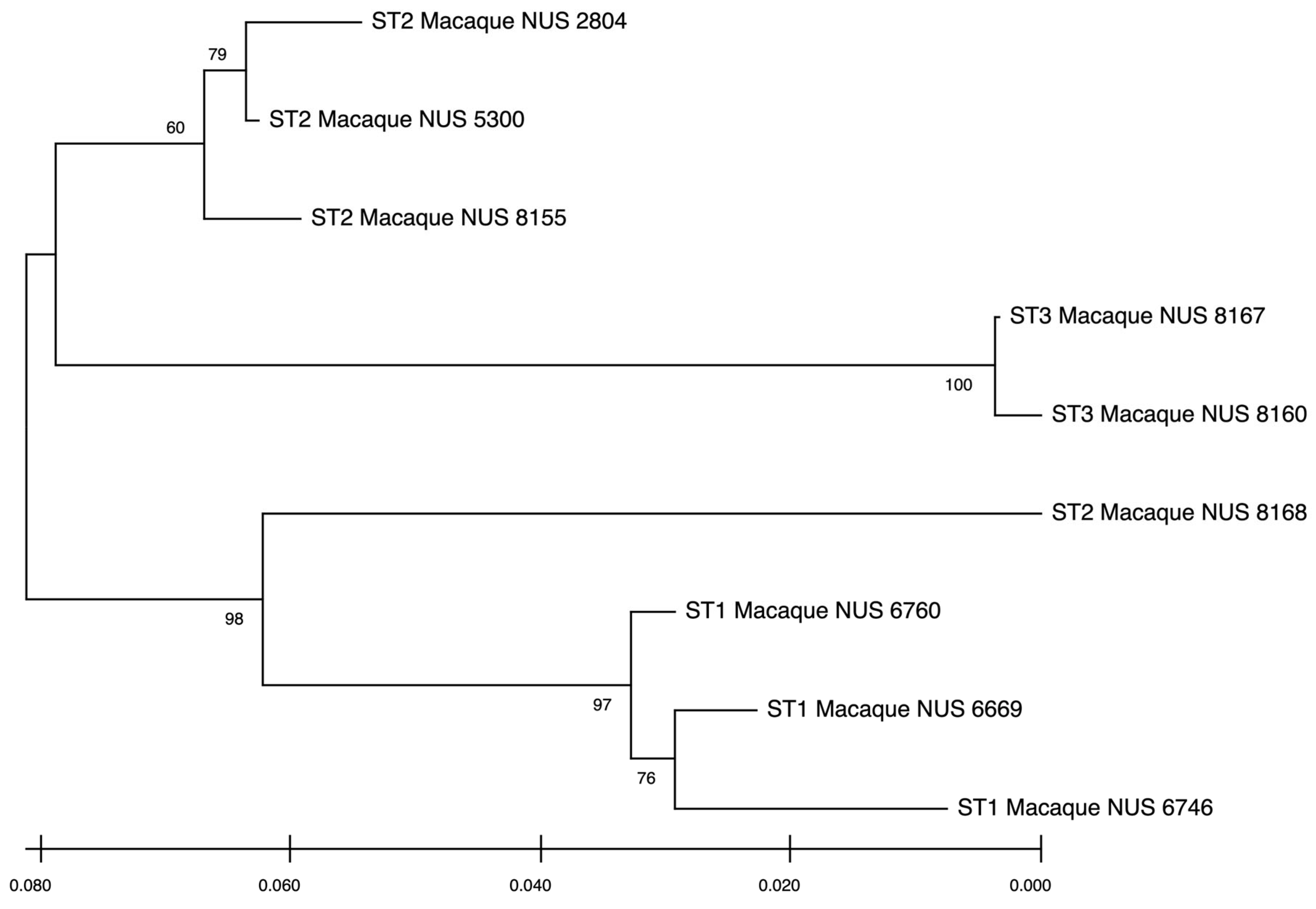 Pathogens 14 00773 g002