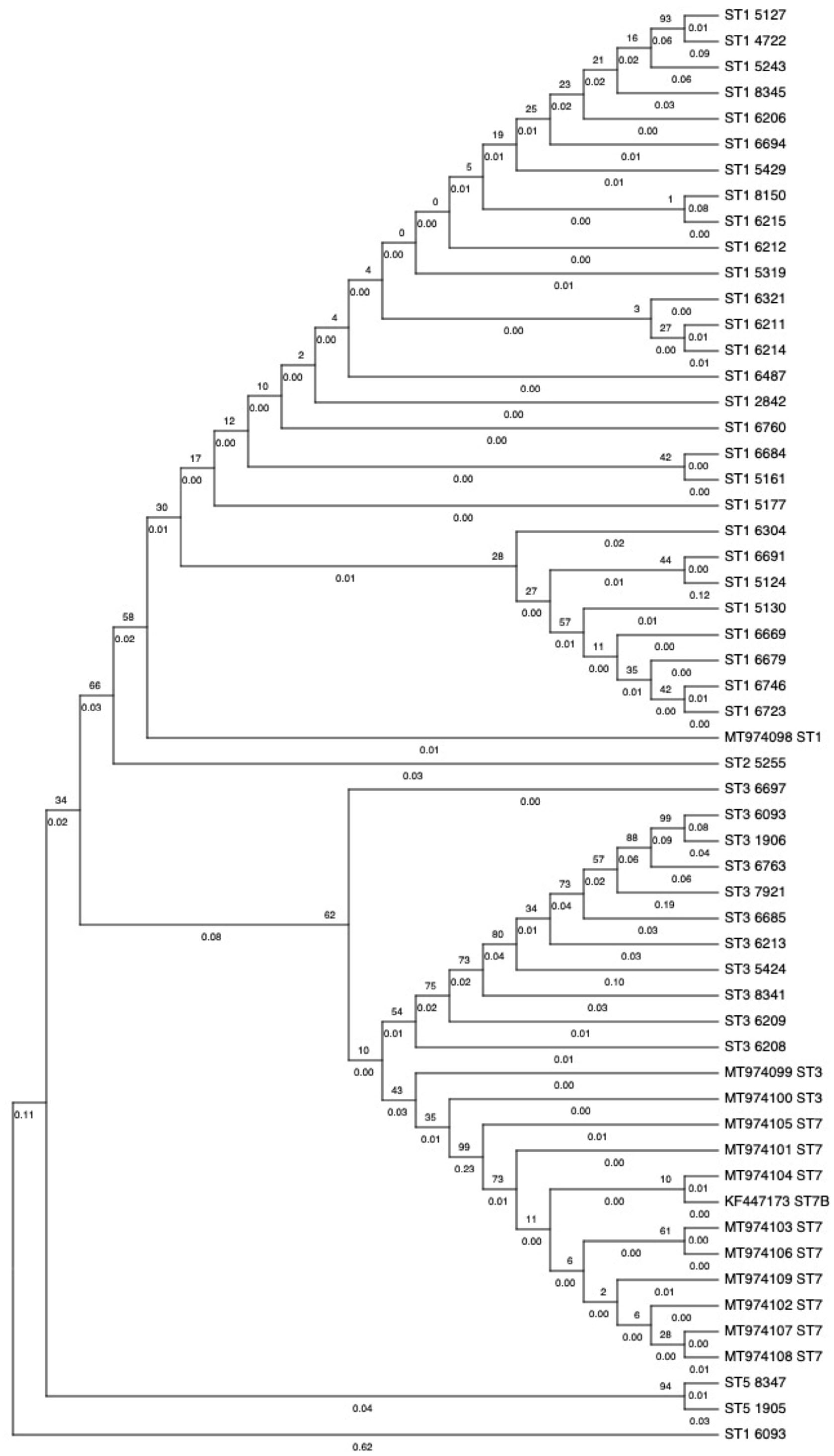 Pathogens 14 00773 g003