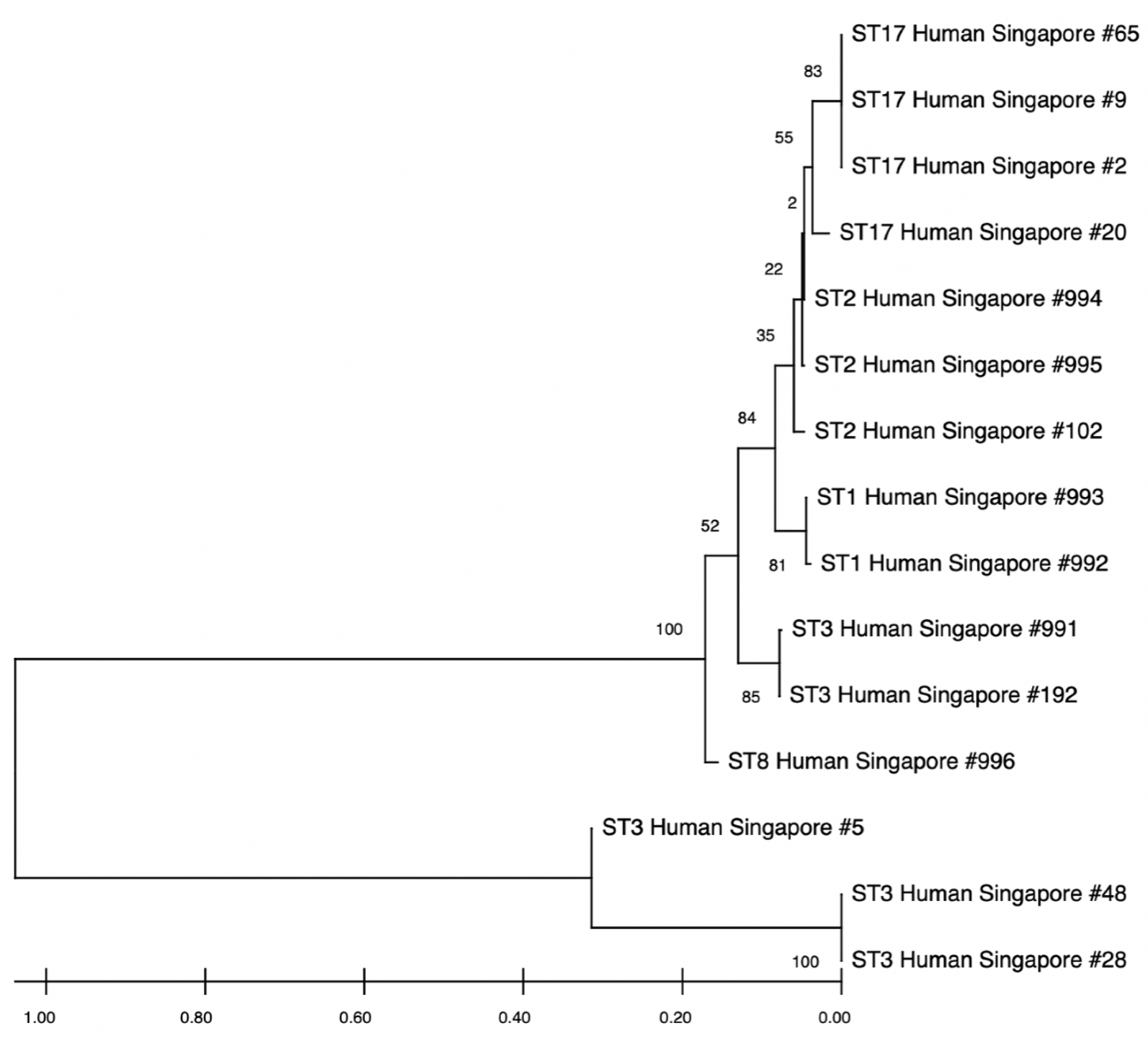 Pathogens 14 00773 g004